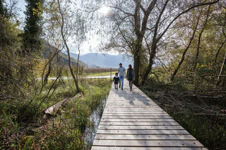 Kalterer See Rundwanderung - Kaltern an der Weinstraße - #7 - suedtirol.info