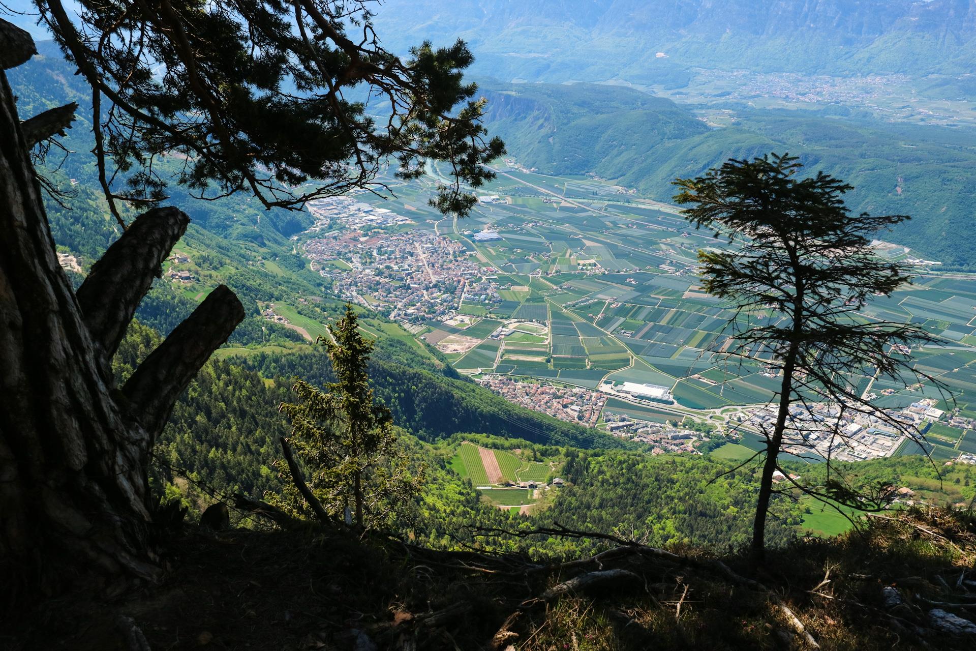 Colle/Kohlern: From Schneiderwiesen to the three viewpoints of Colle/Kohlern Bolzano/Bozen 1 suedtirol.info