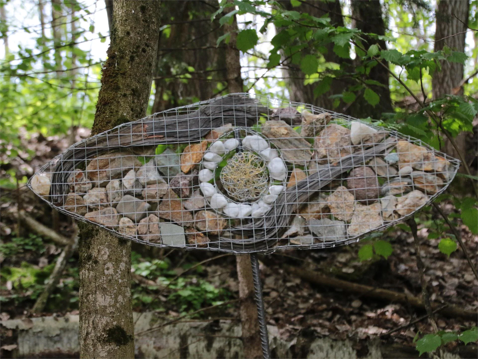 Percorso d'Arte - Stagno Moarberger Brunico 1 suedtirol.info