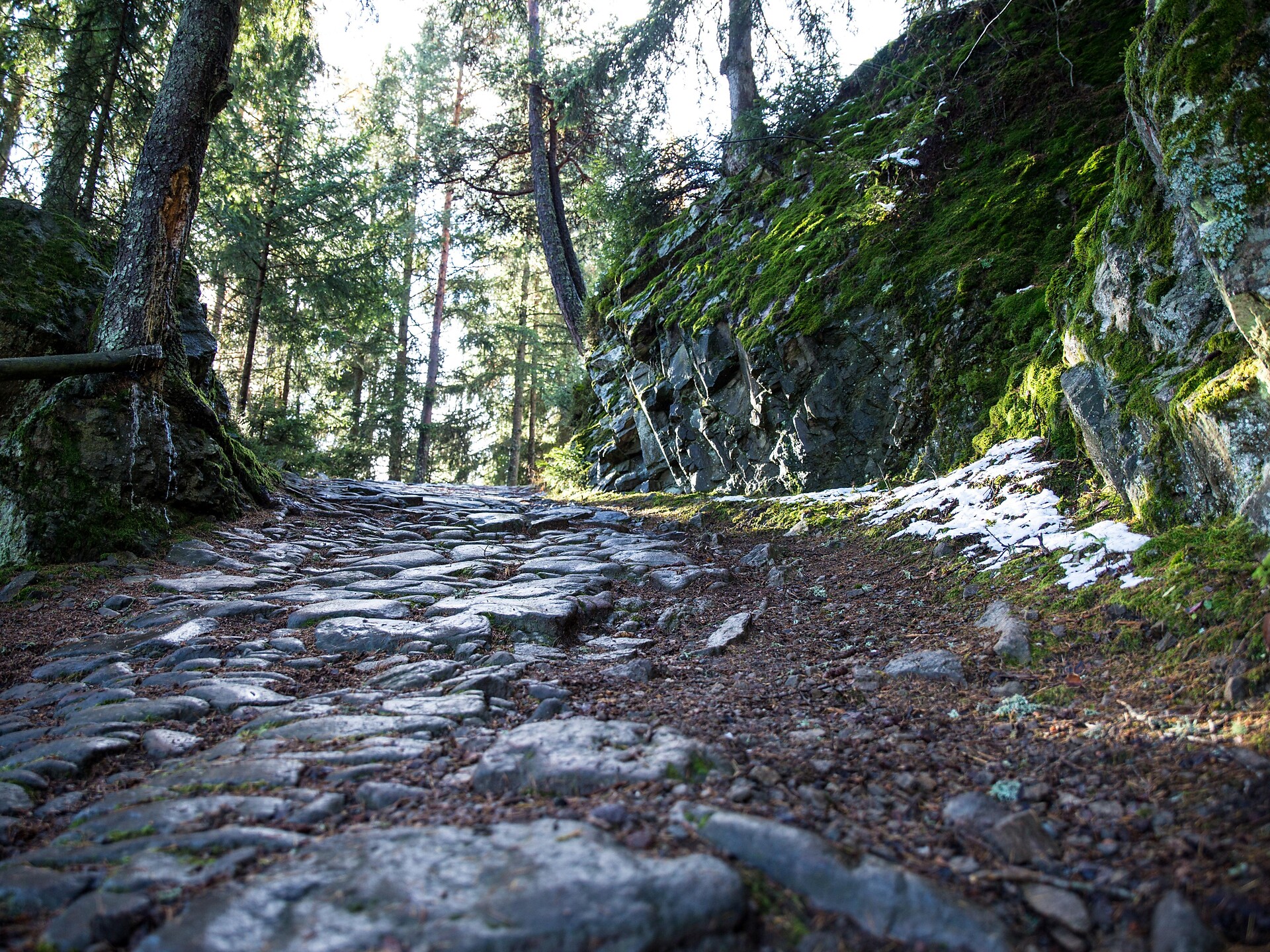 Kaserklopfrunde  in Barbian - Brixen und Umgebung - #3 - suedtirol.info