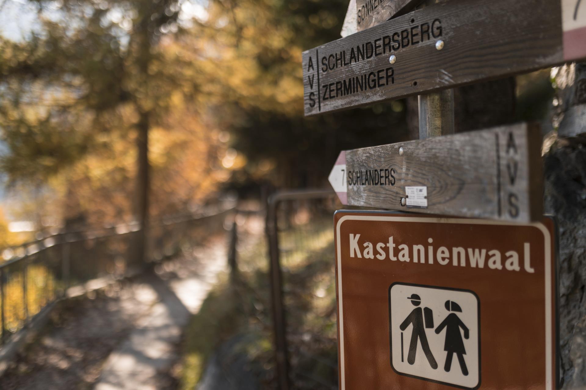 Kastanienwaal Schlanders 2 suedtirol.info