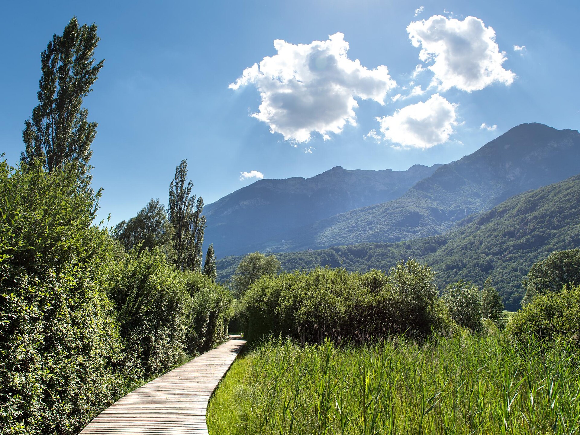 Trail around lake Kaltern