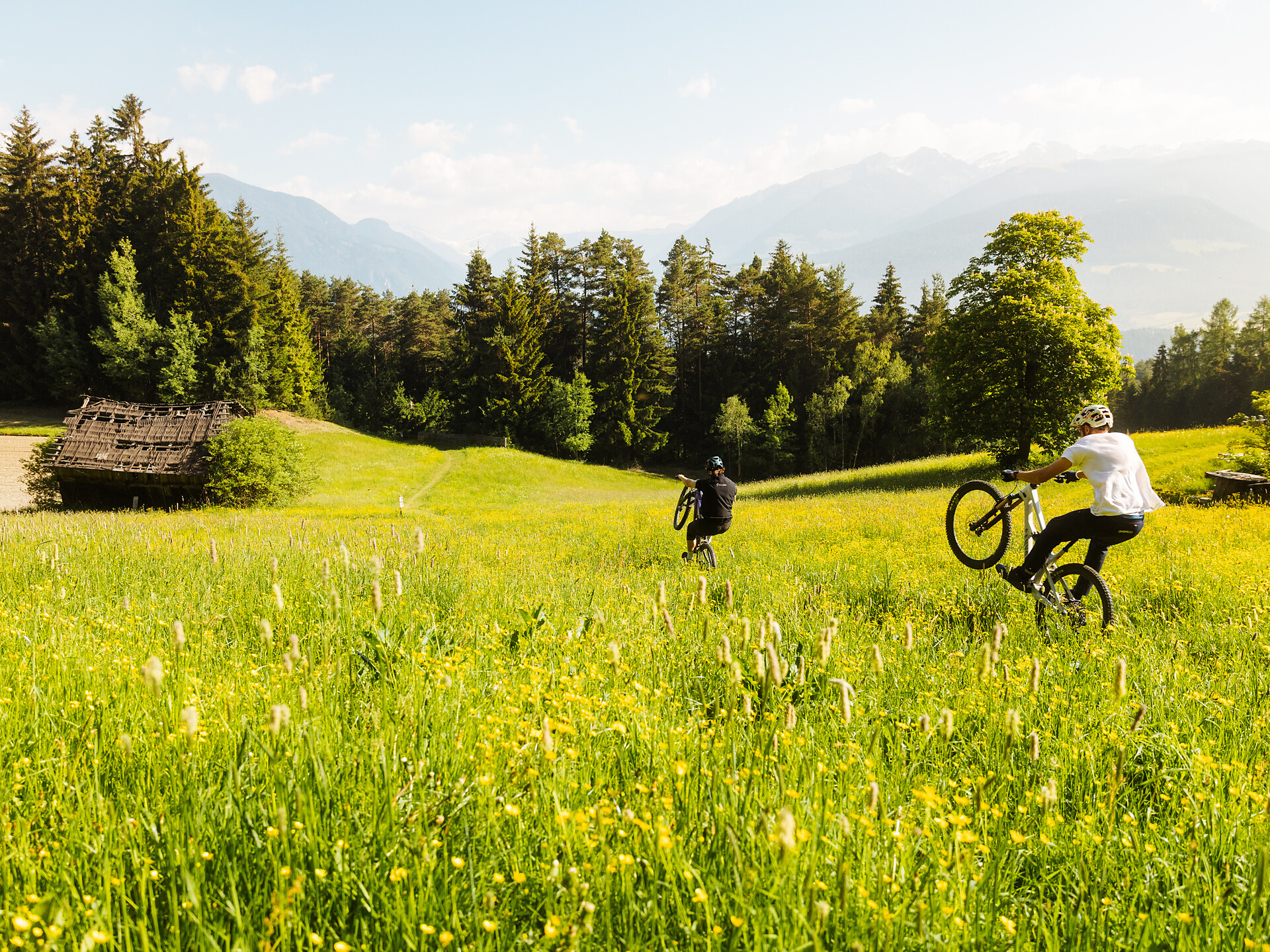 Korer Trail - Dolomites Region Kronplatz/Plan de Corones - #1 - suedtirol.info