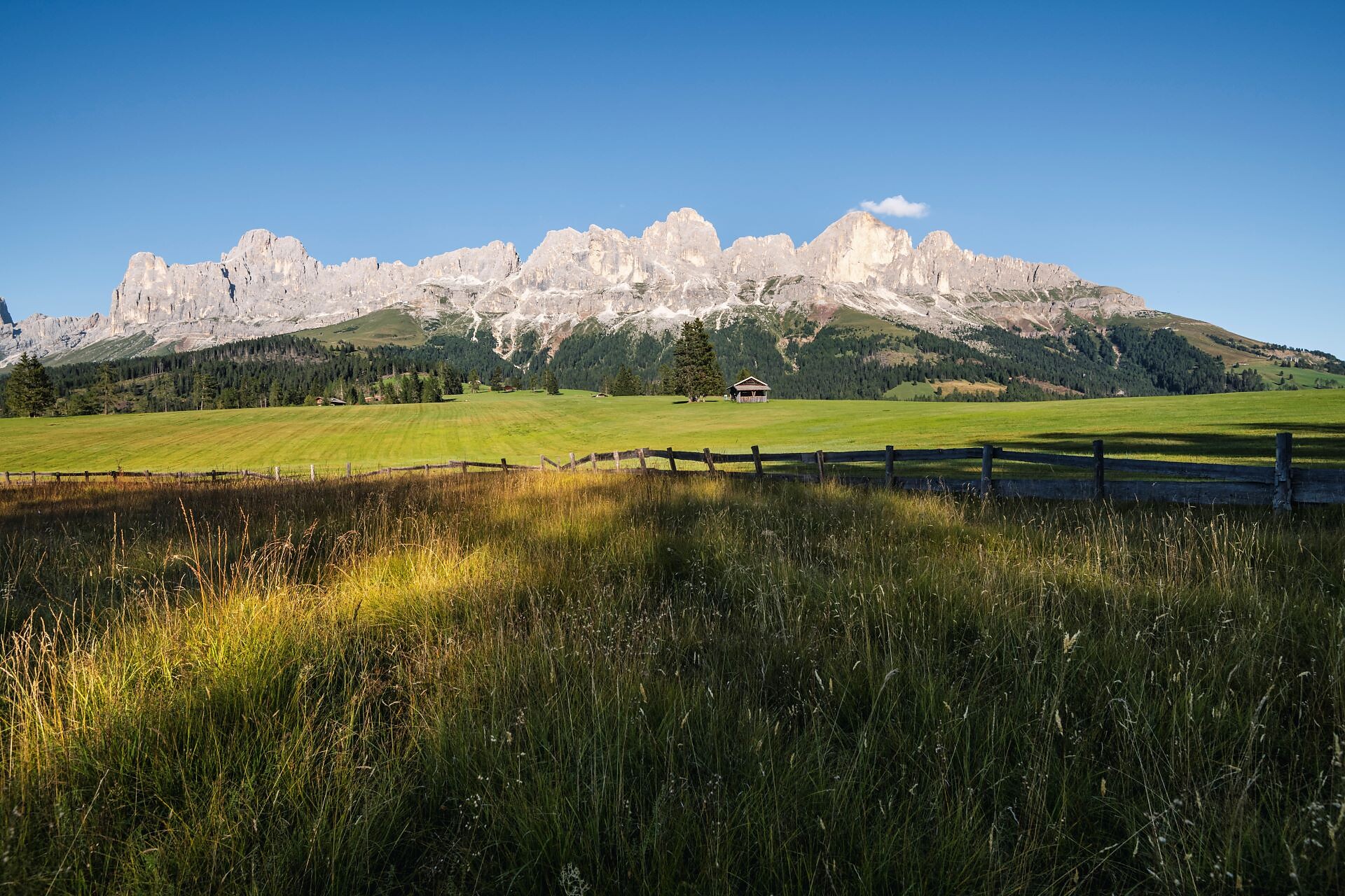 Frinwiesen
