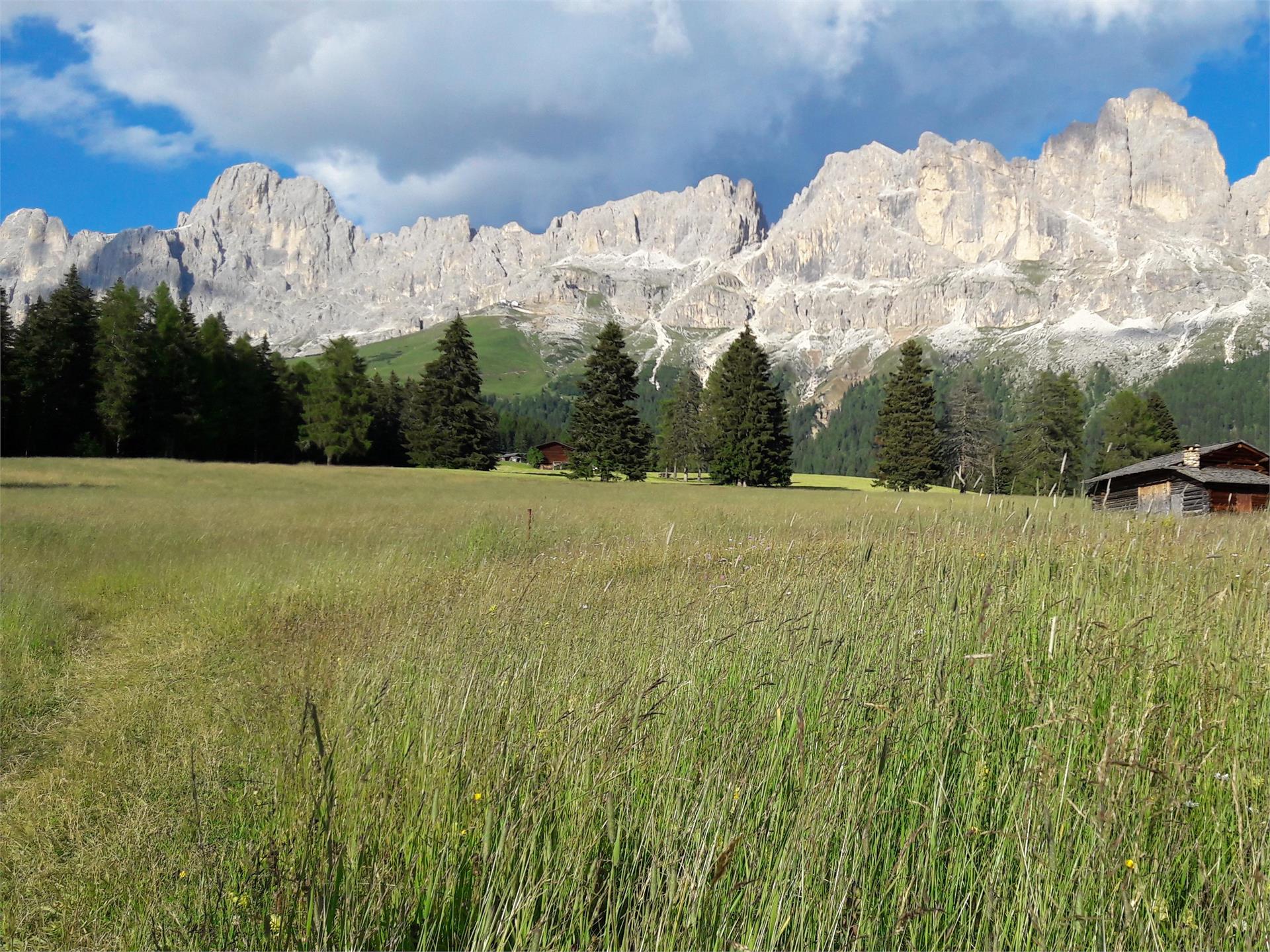 Kaiserin Sissi Tour Welschnofen 1 suedtirol.info