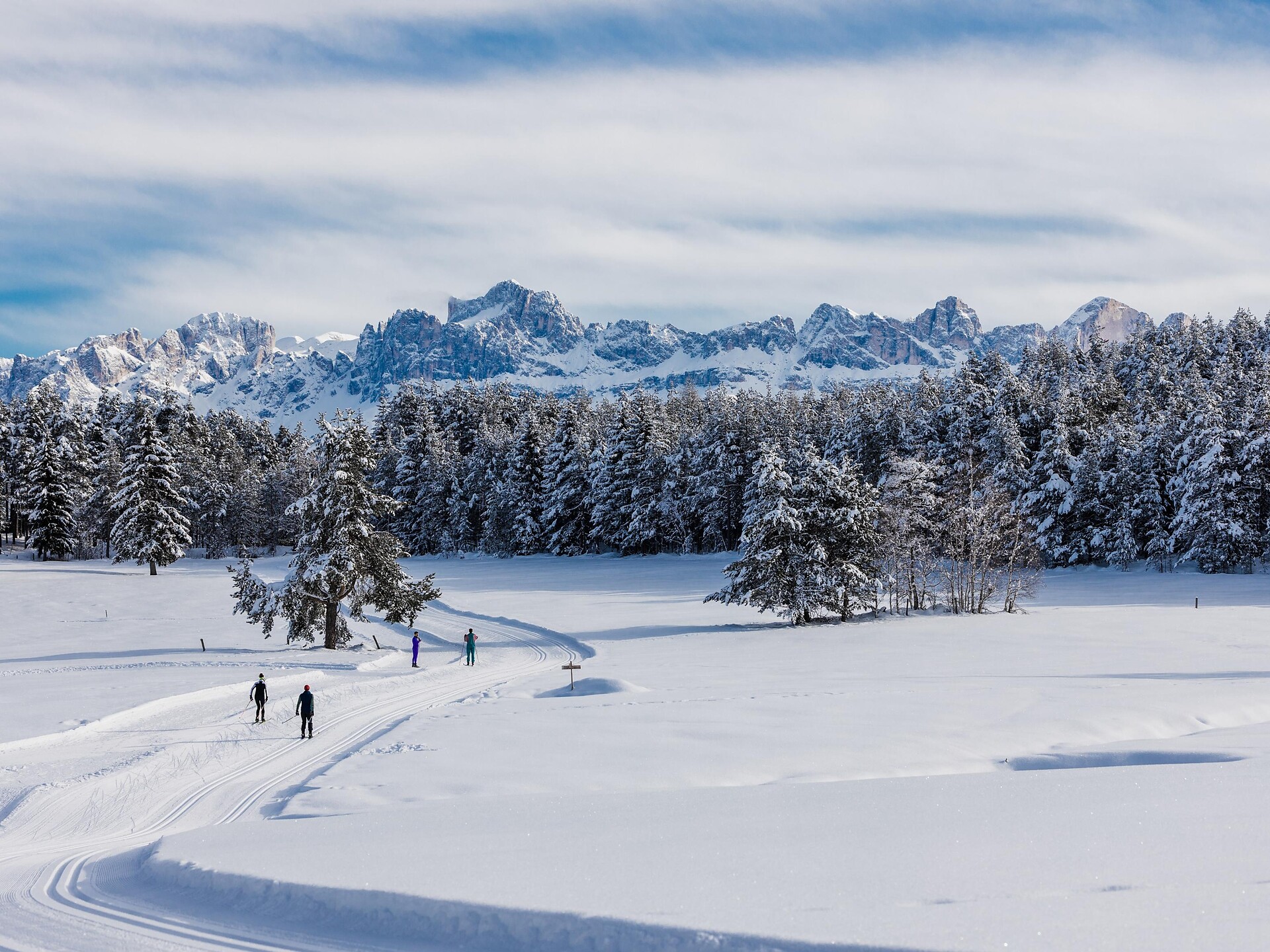 Ski fondo