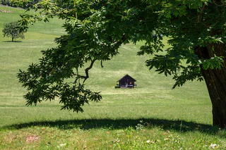Keschtnweg