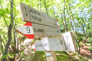Keschtnweg / Teilstück 5 - Ritten - #8 - suedtirol.info