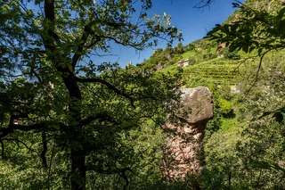 Keschtnweg / Teilstück 5 - Ritten - #5 - suedtirol.info