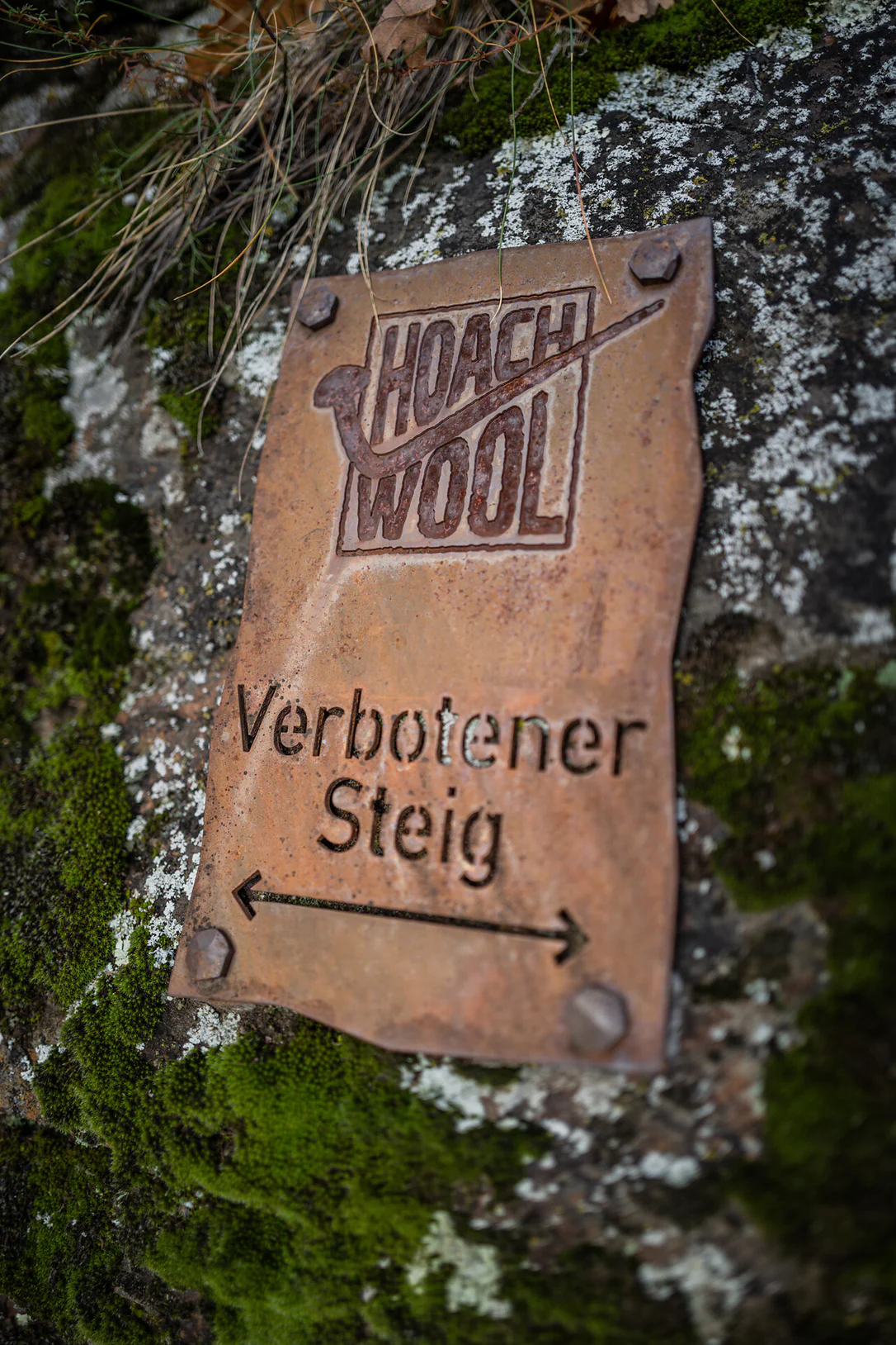 Via Ferrata Hoachwool