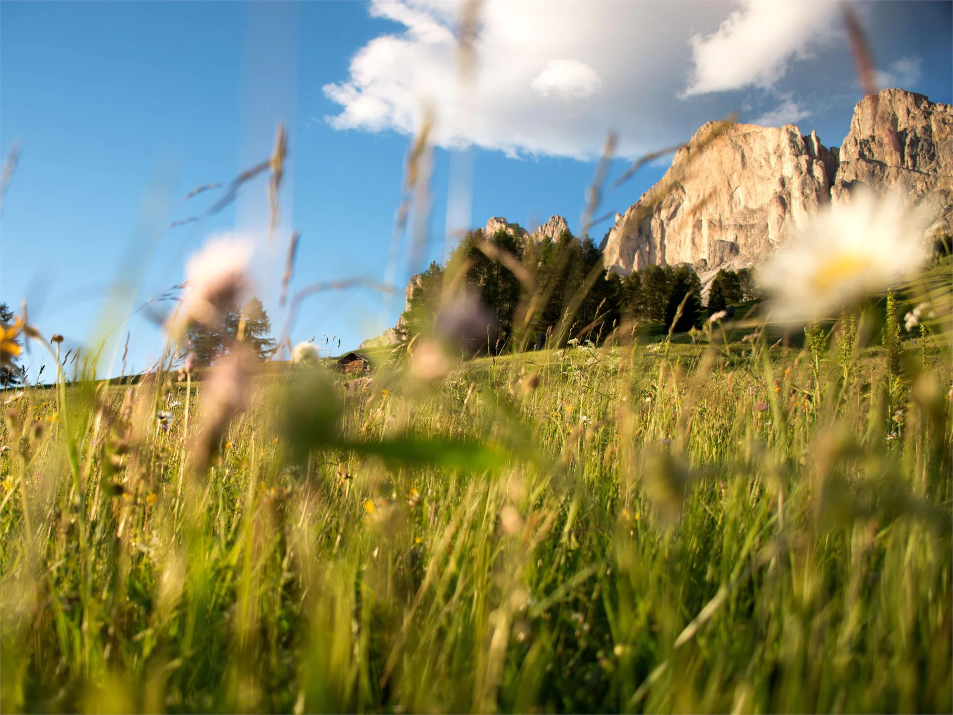 Kaiserstein Tour Nova Levante 1 suedtirol.info