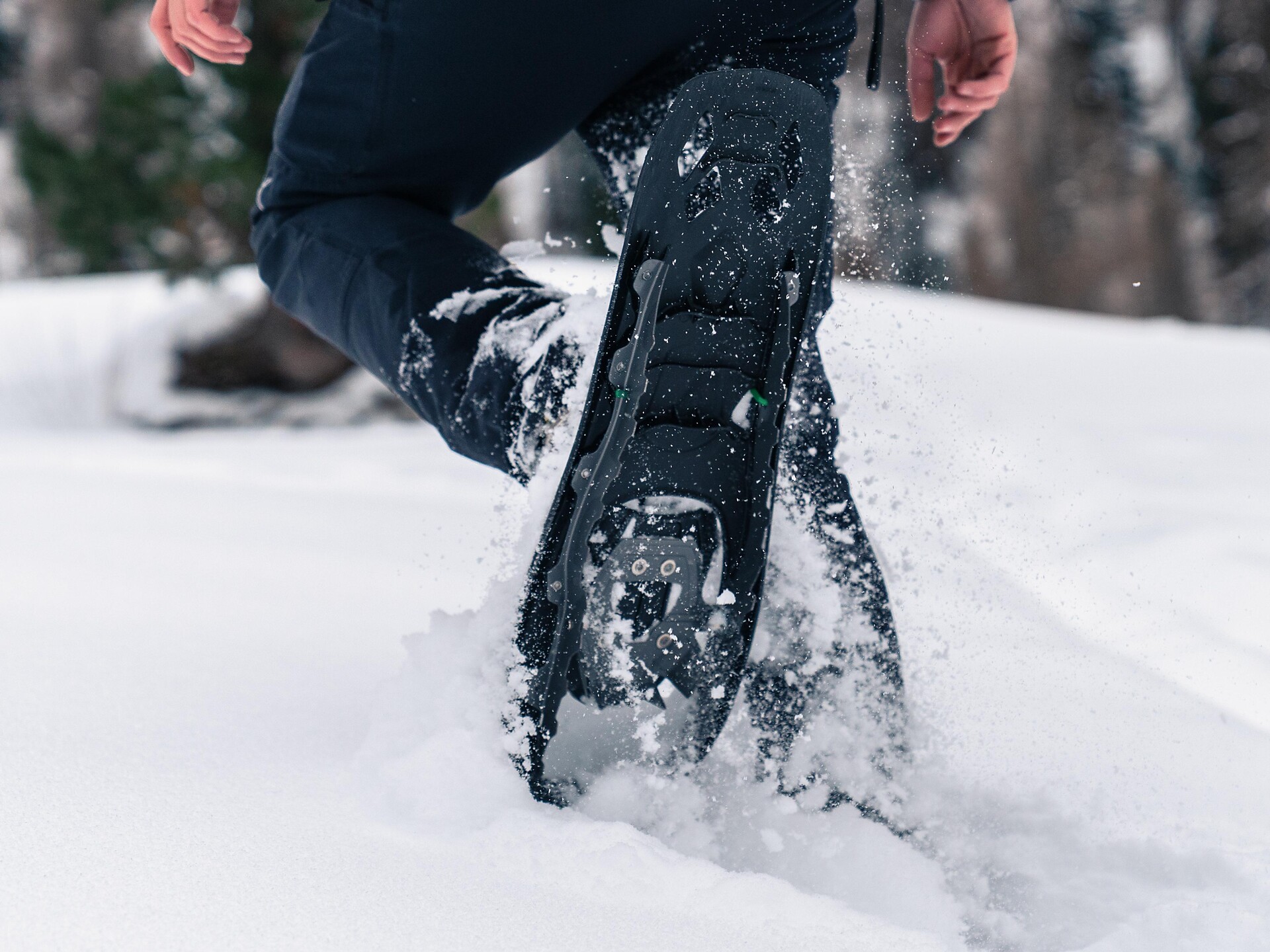 Snowshoe hike