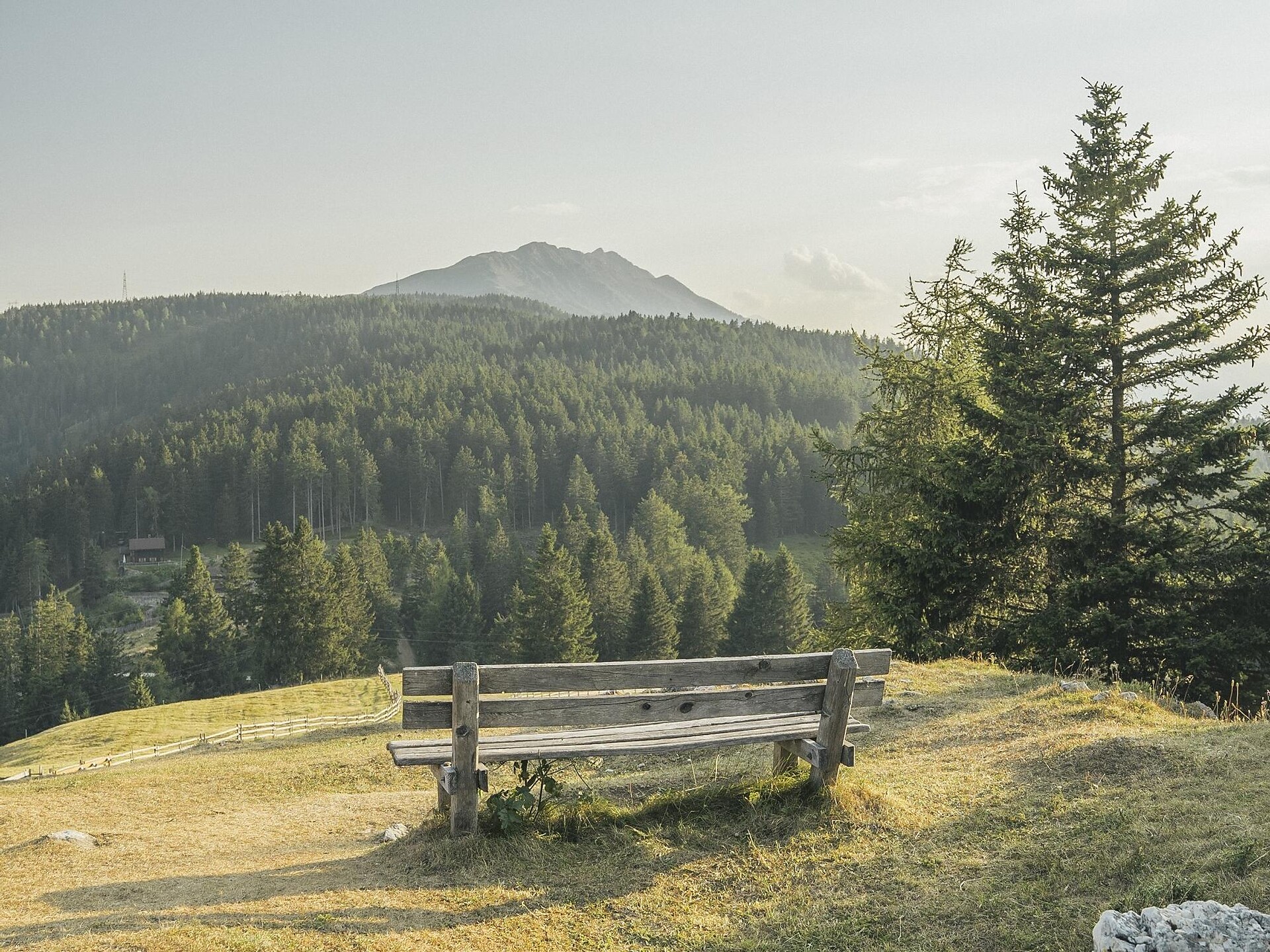 Short round hike at Mount Vigiljoch - Meran/Merano and environs - #5 - suedtirol.info