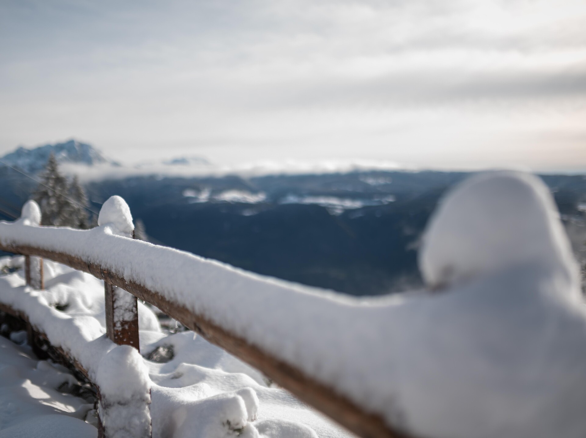 Short round hike at Mount Vigiljoch - Meran/Merano and environs - #1 - suedtirol.info