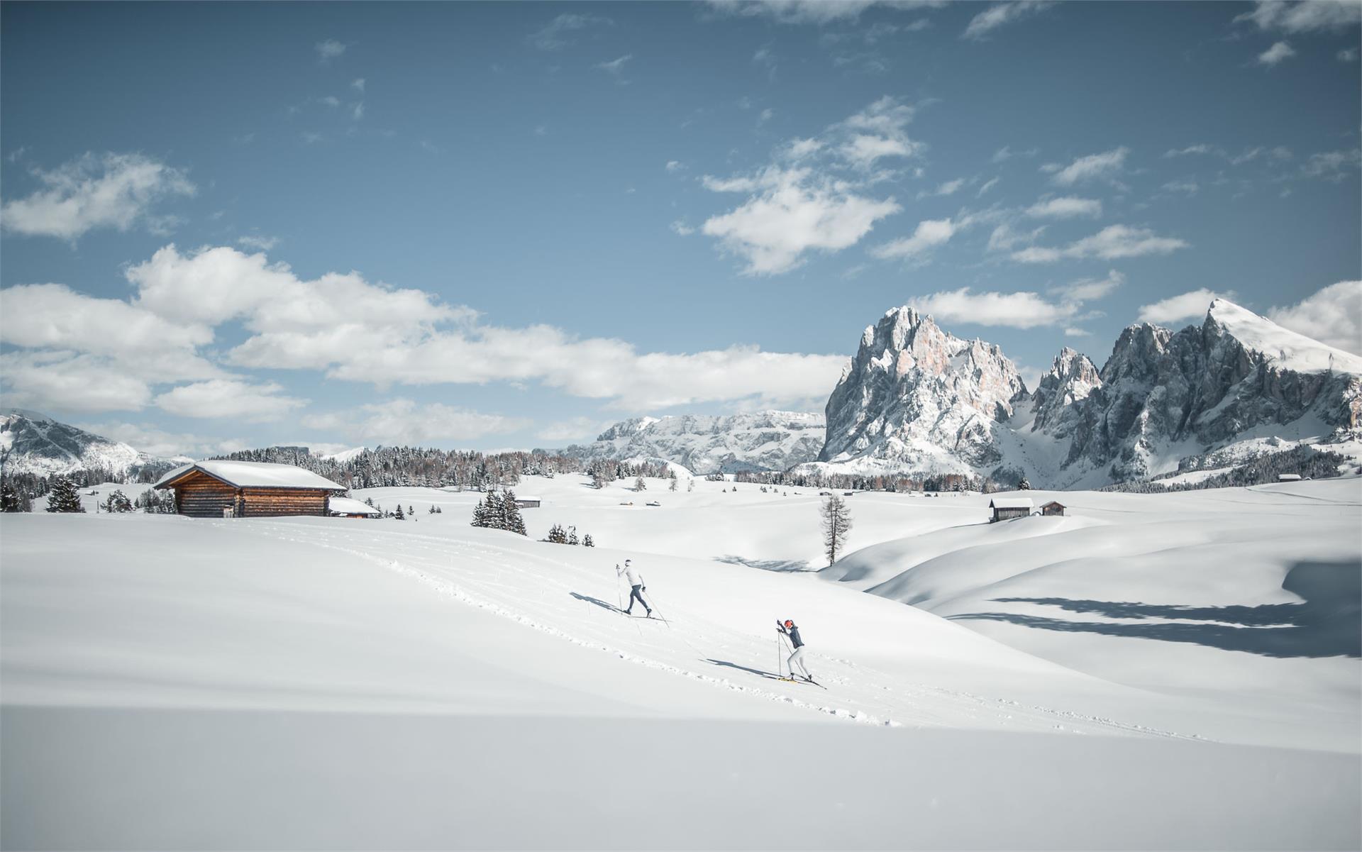 Pista da fondo Hartl Castelrotto 1 suedtirol.info