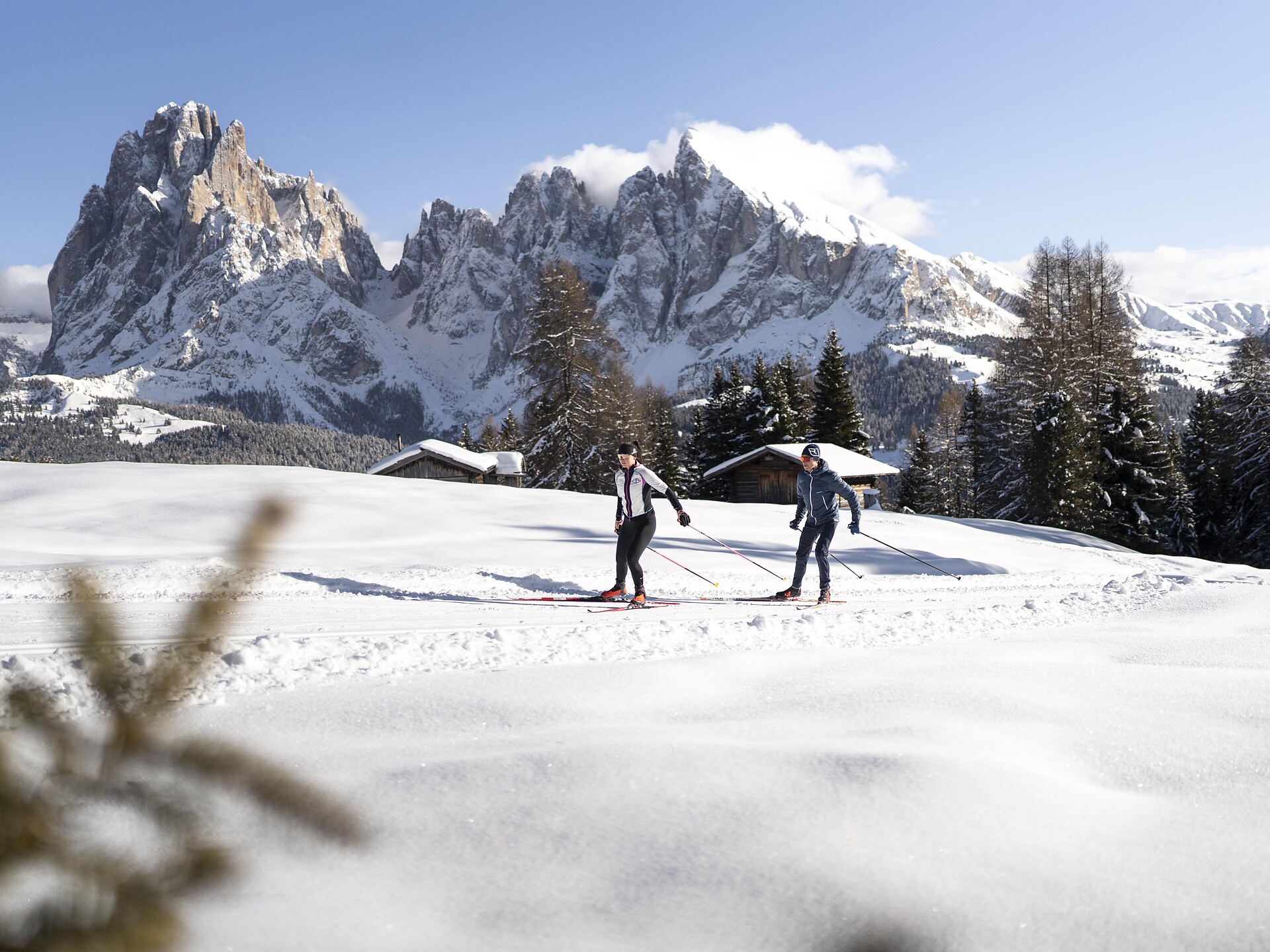 Loipe Hartl - Dolomitenregion Seiser Alm - #1 - suedtirol.info