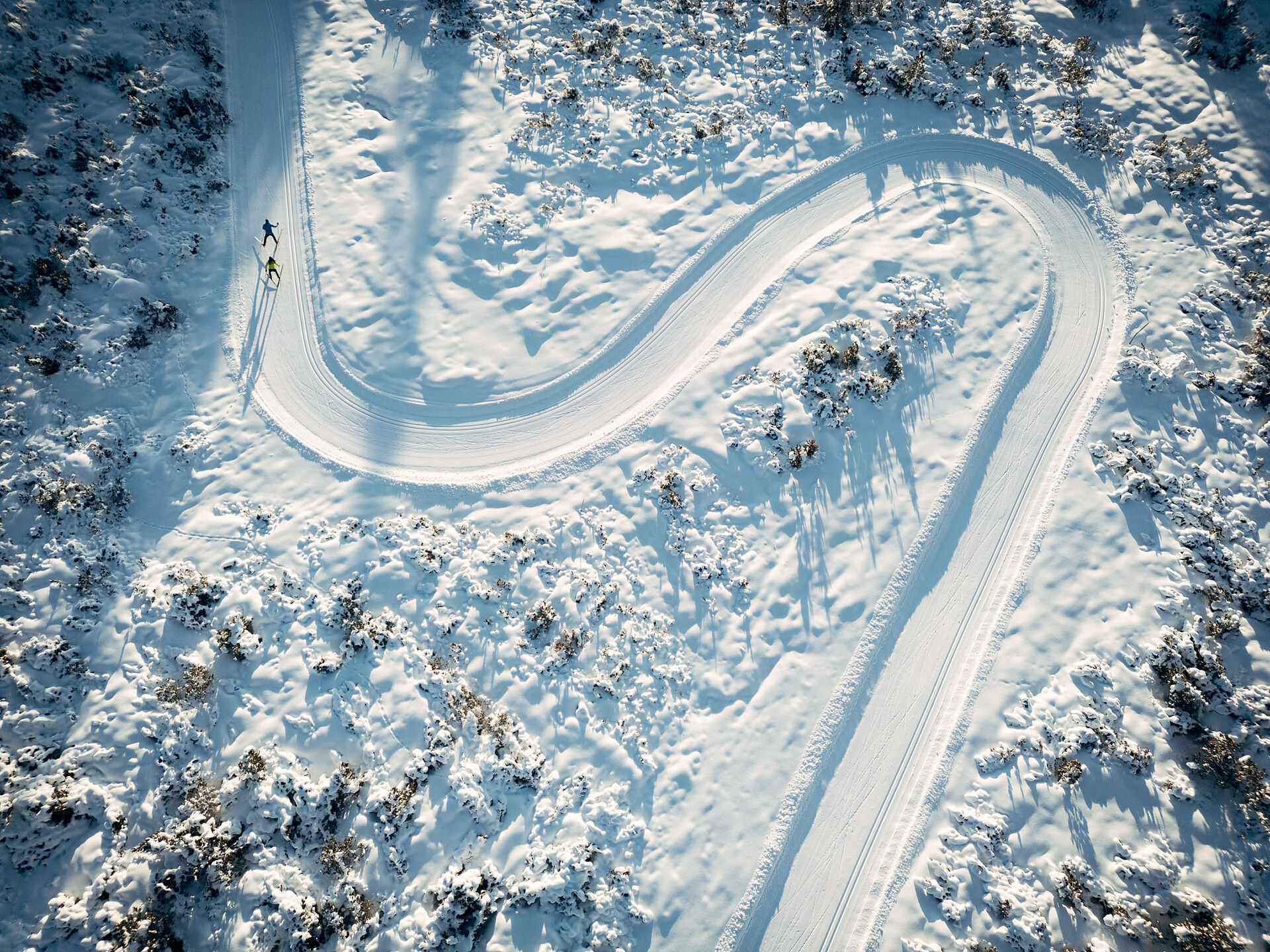 Pista panoramica sci da fondo sull'Alpe di Villandro - Bressanone e dintorni - #4 - suedtirol.info