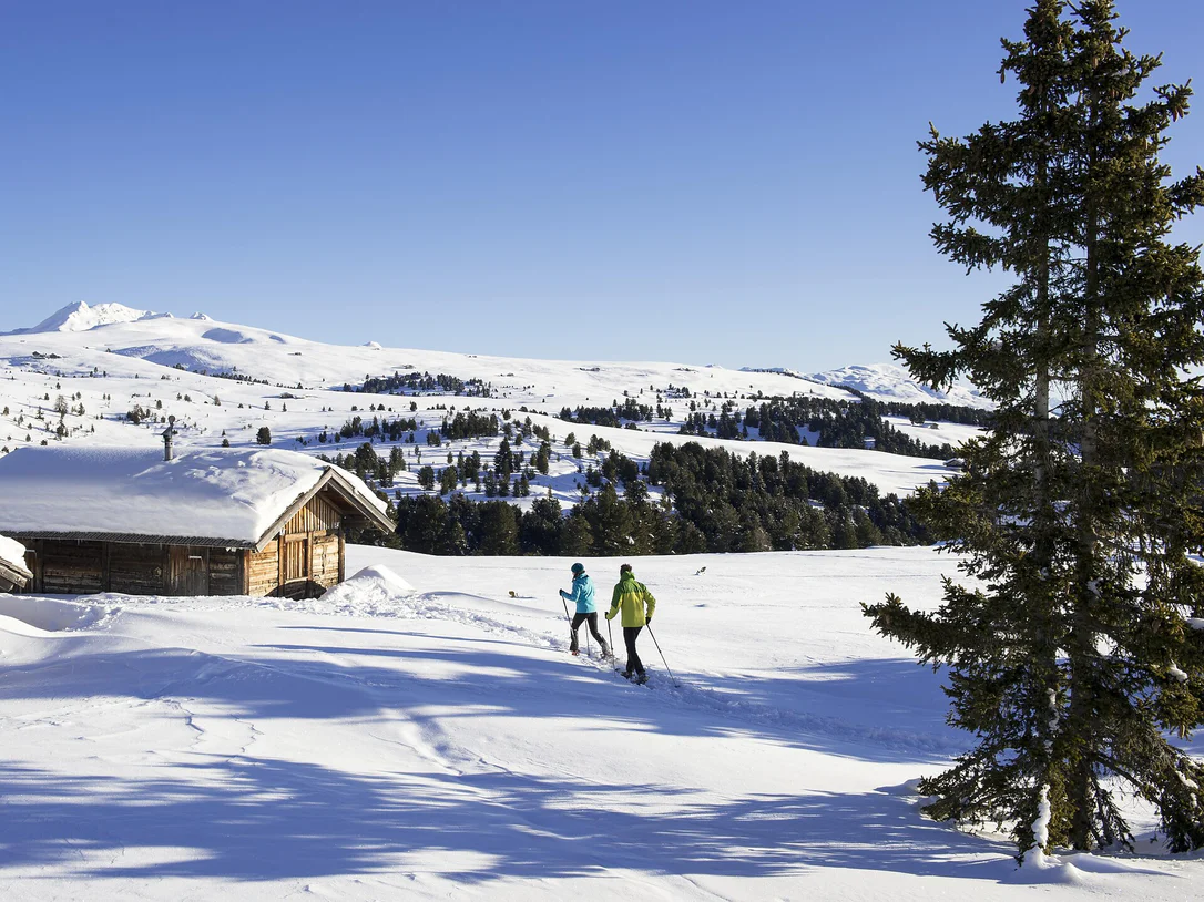 Langlaufloipe Villanderer Alm