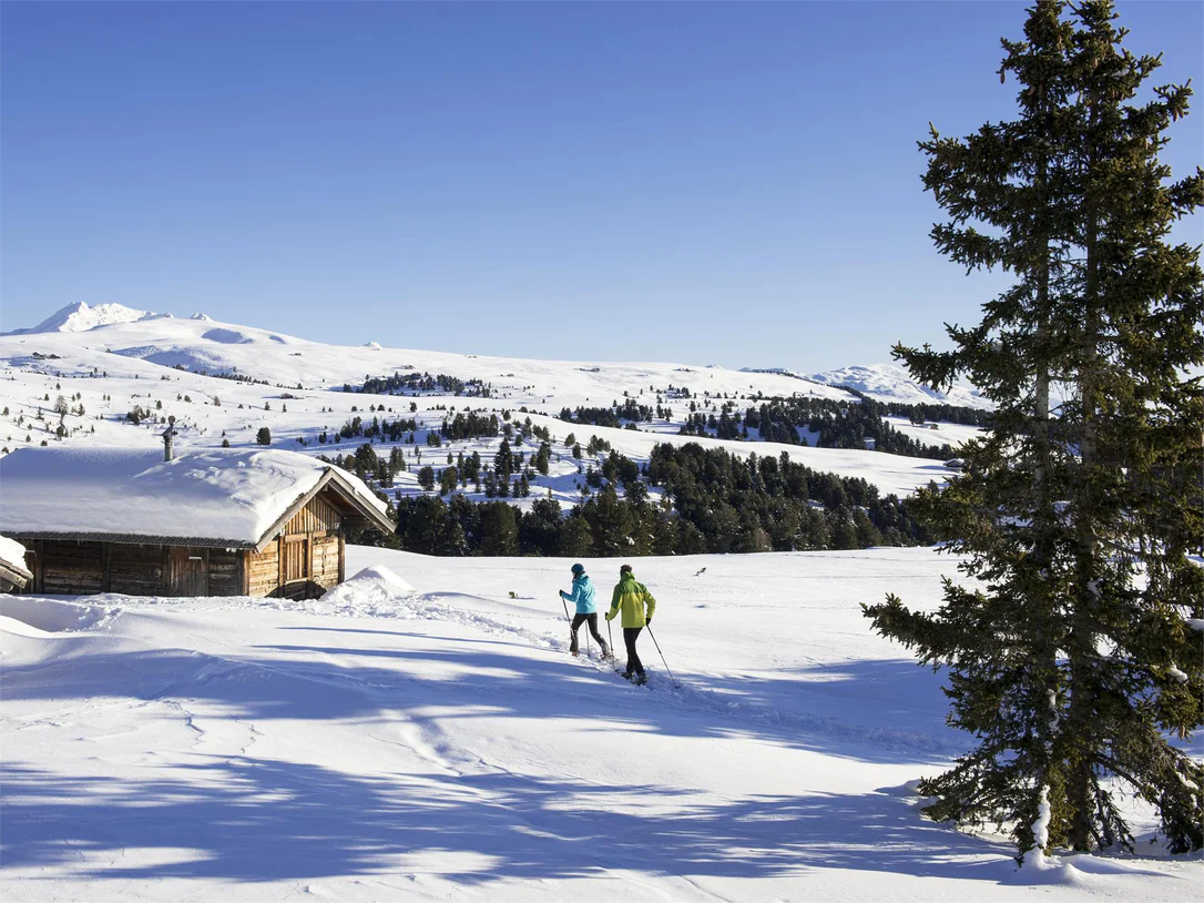 Cross country ski trail - Alp of Villandro