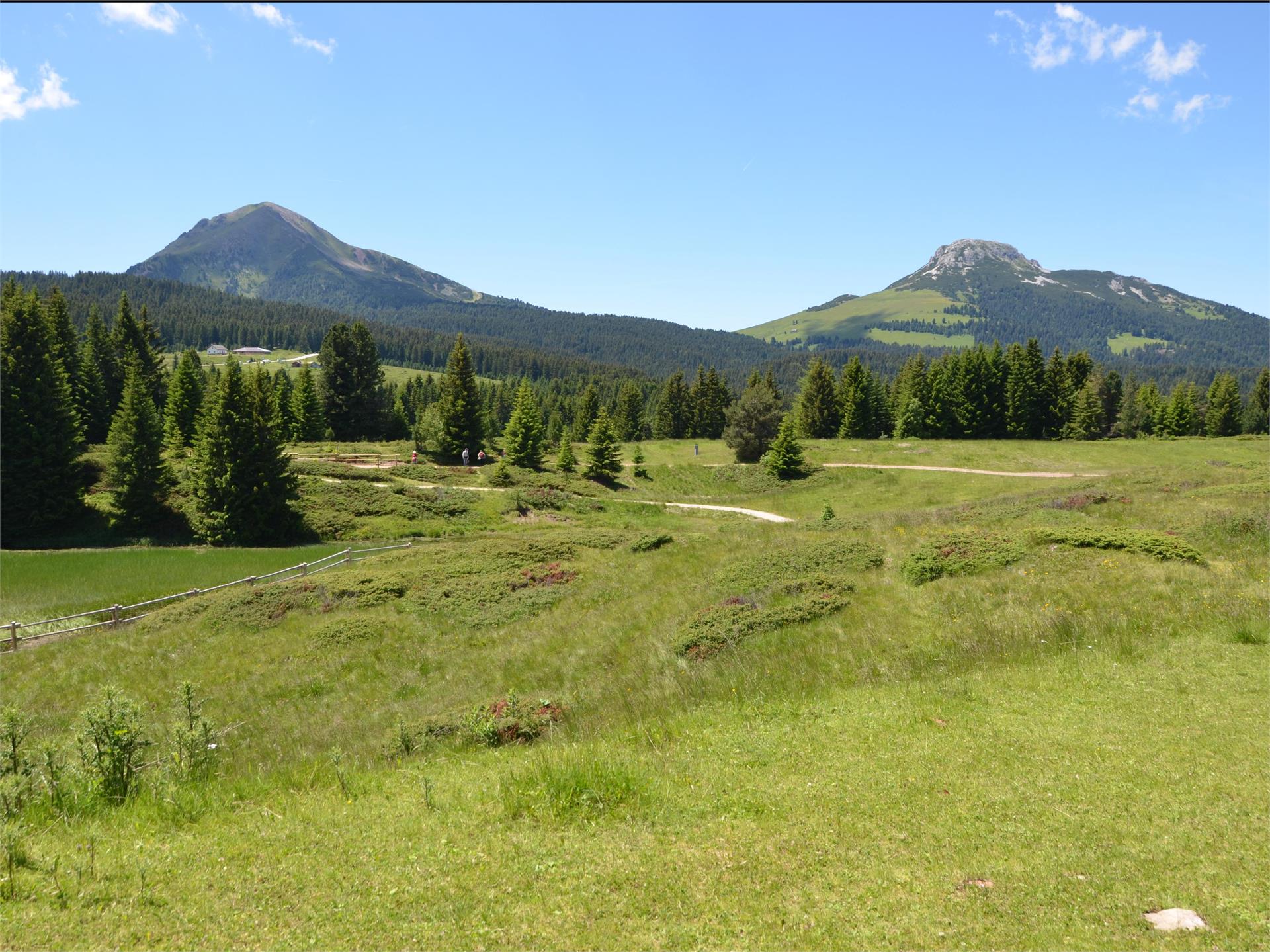 Lavazé - Malga Ora - 8km Deutschnofen/Nova Ponente 1 suedtirol.info