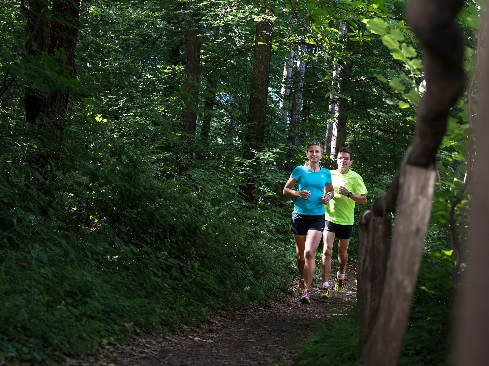 Lime tree trail