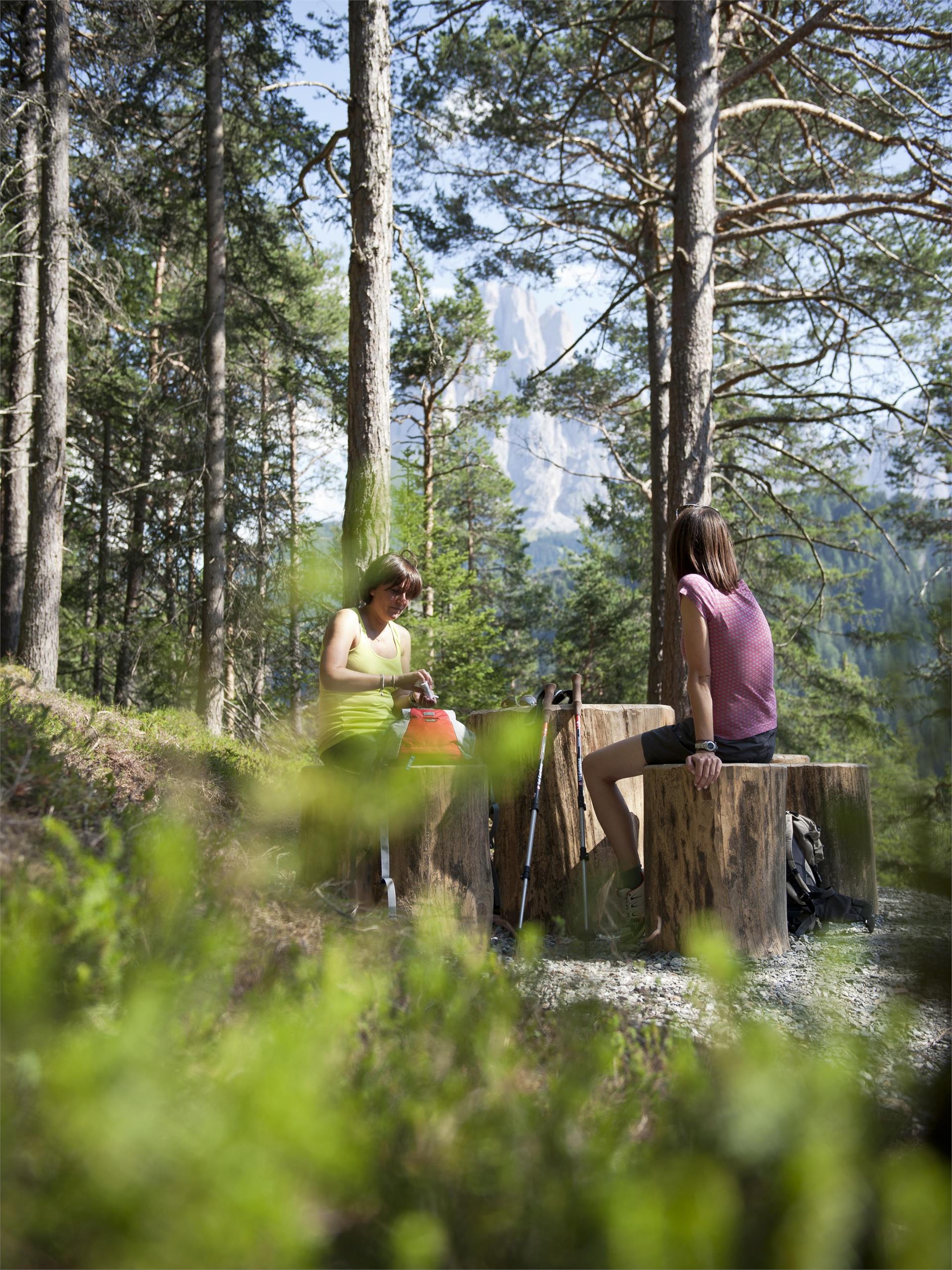 S. Giacomo Legend Trail S.Crestina Gherdëina/Santa Cristina Val Gardana 5 suedtirol.info