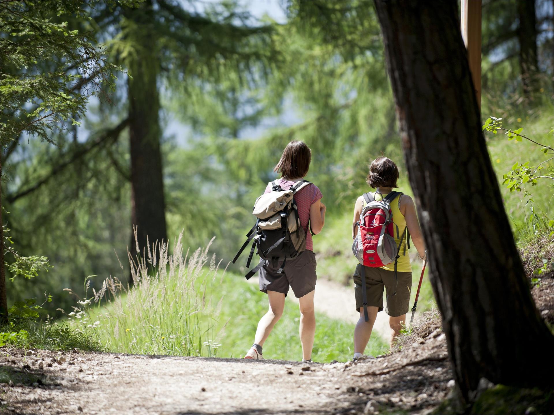 S. Giacomo Legend Trail S.Crestina Gherdëina/Santa Cristina Val Gardana 6 suedtirol.info