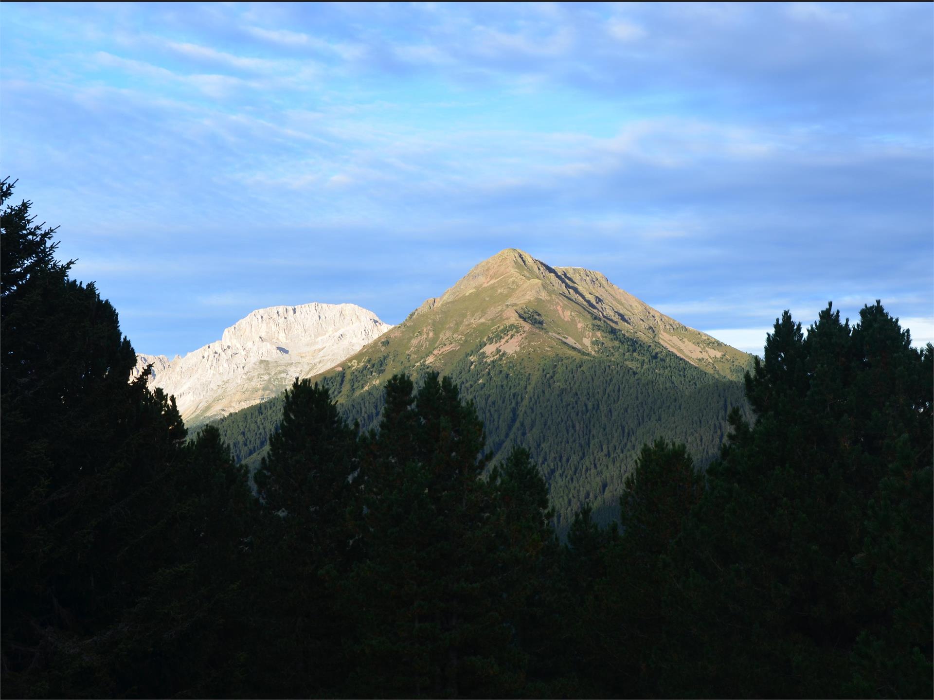 Lavazè - Baita Pozzi Nova Ponente 1 suedtirol.info