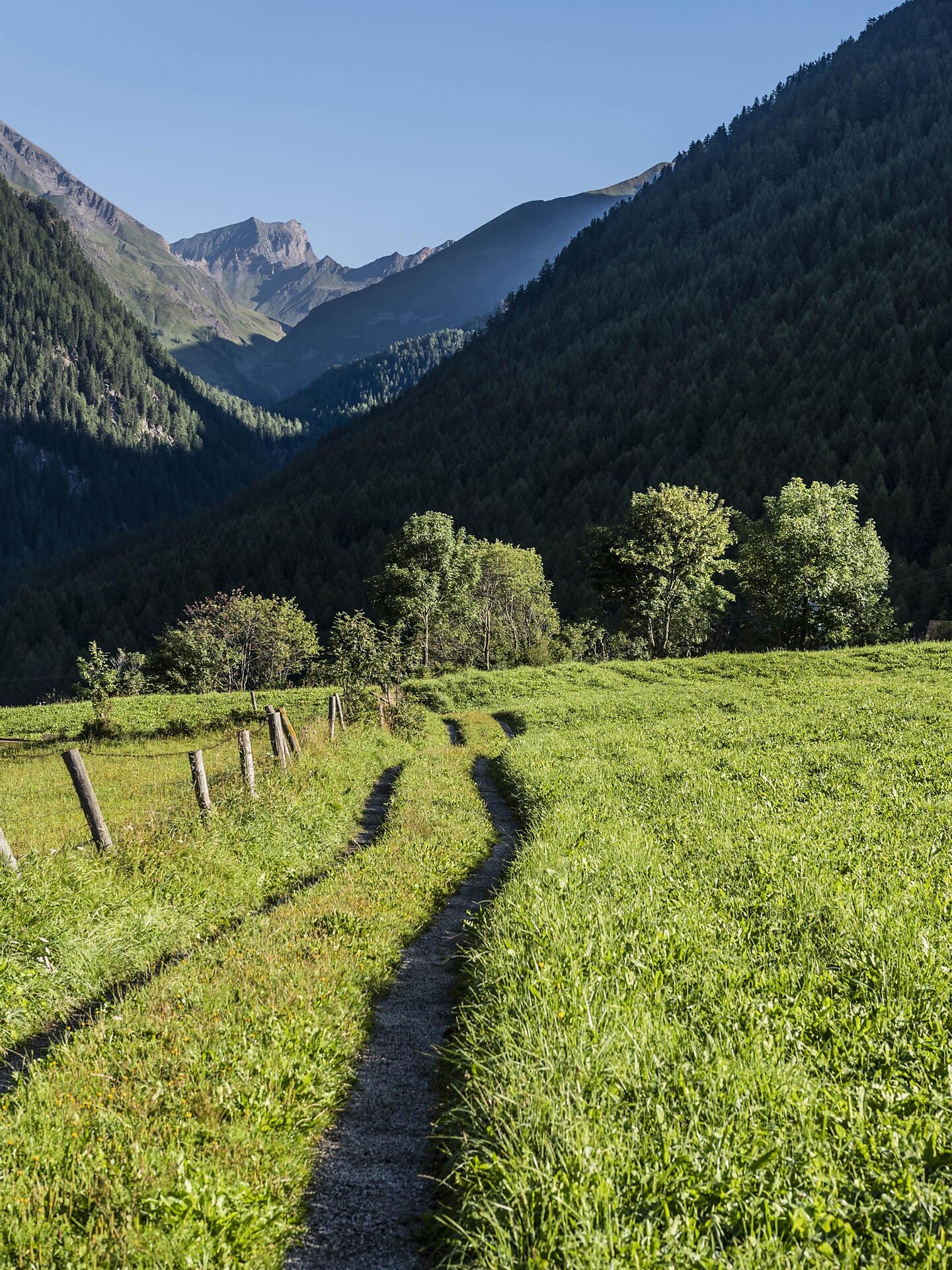 Running Pleasure in Vals – A Perfect Blend of Nature and Exercise Mühlbach/Rio di Pusteria 3 suedtirol.info