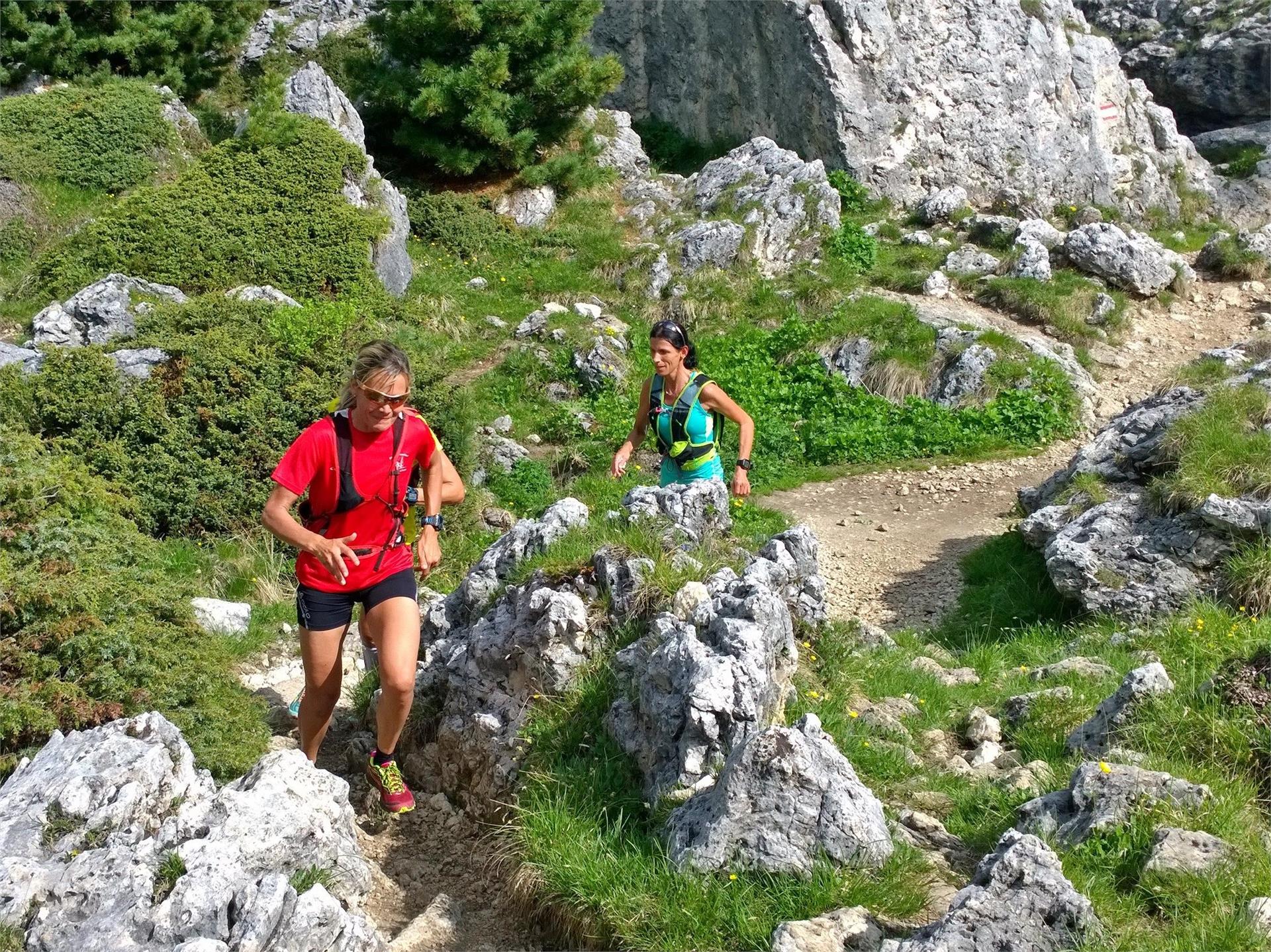 Tour del Sassolungo Selva 1 suedtirol.info