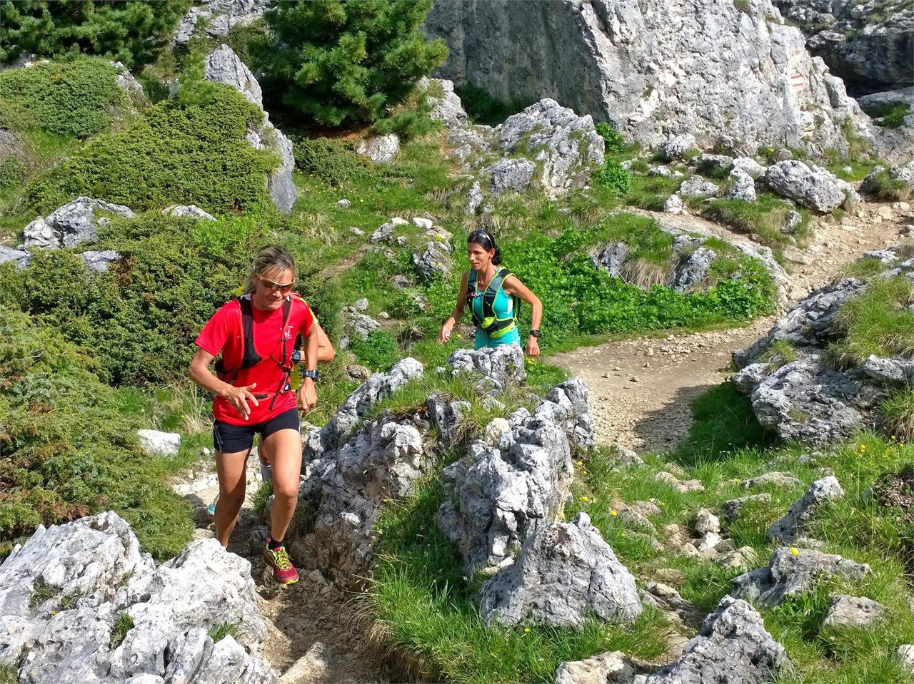 Tour del Sassolungo