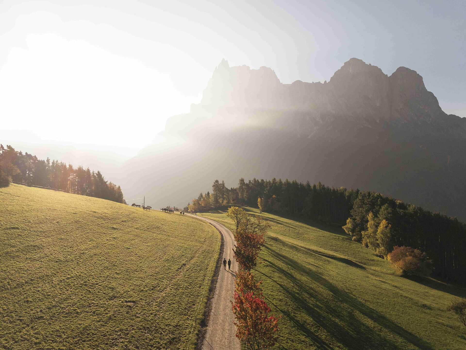 Laranzer Loop Route - Dolomites Region Seiser Alm - #1 - suedtirol.info