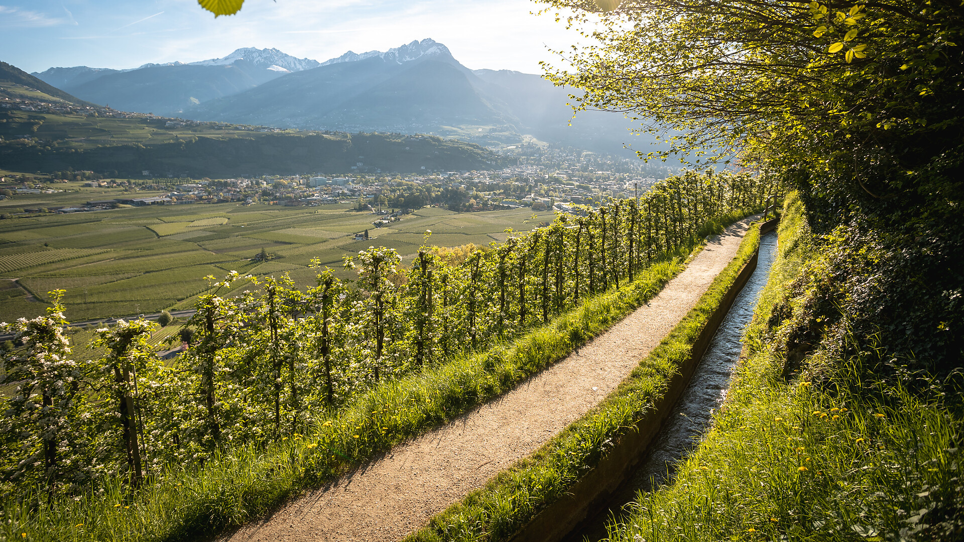 Escursione facile lungo la roggia di Marlengo  - Merano e dintorni - #1 - suedtirol.info