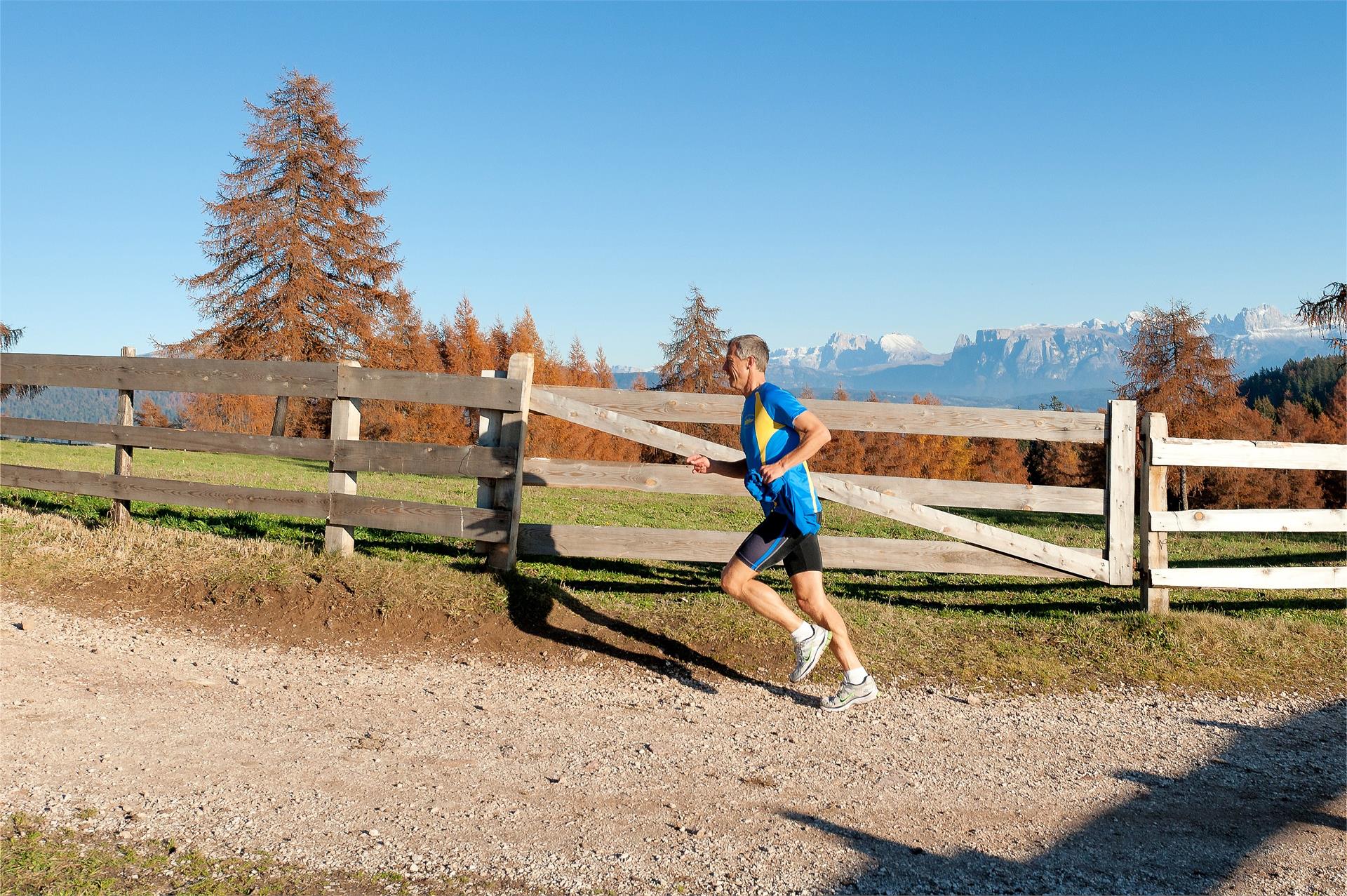 Laufrunde: Soltn Jenesien 1 suedtirol.info