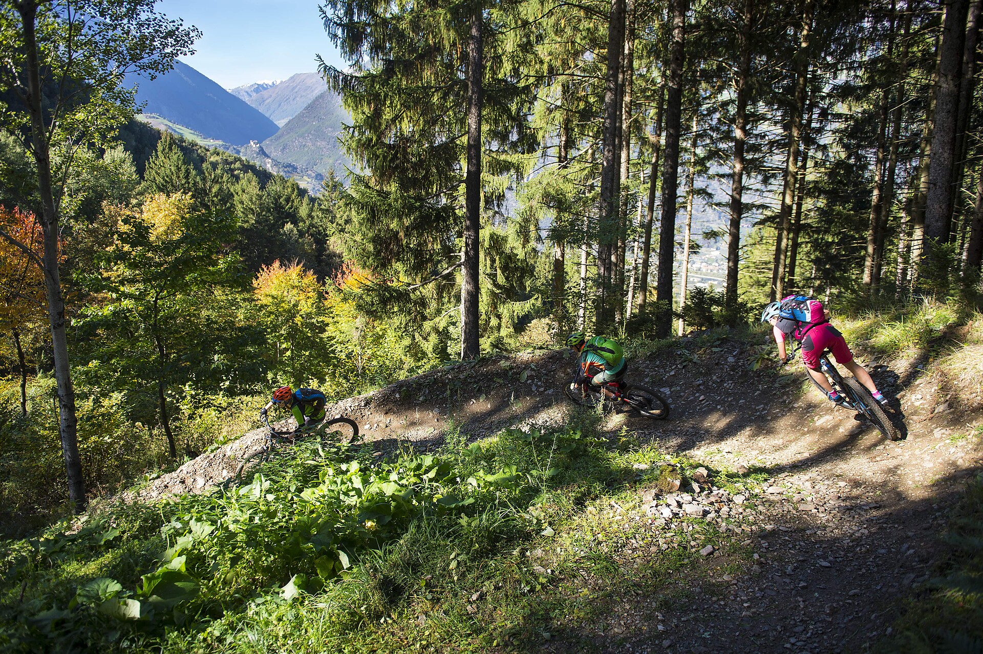 MTB, Nörderberg, Trails