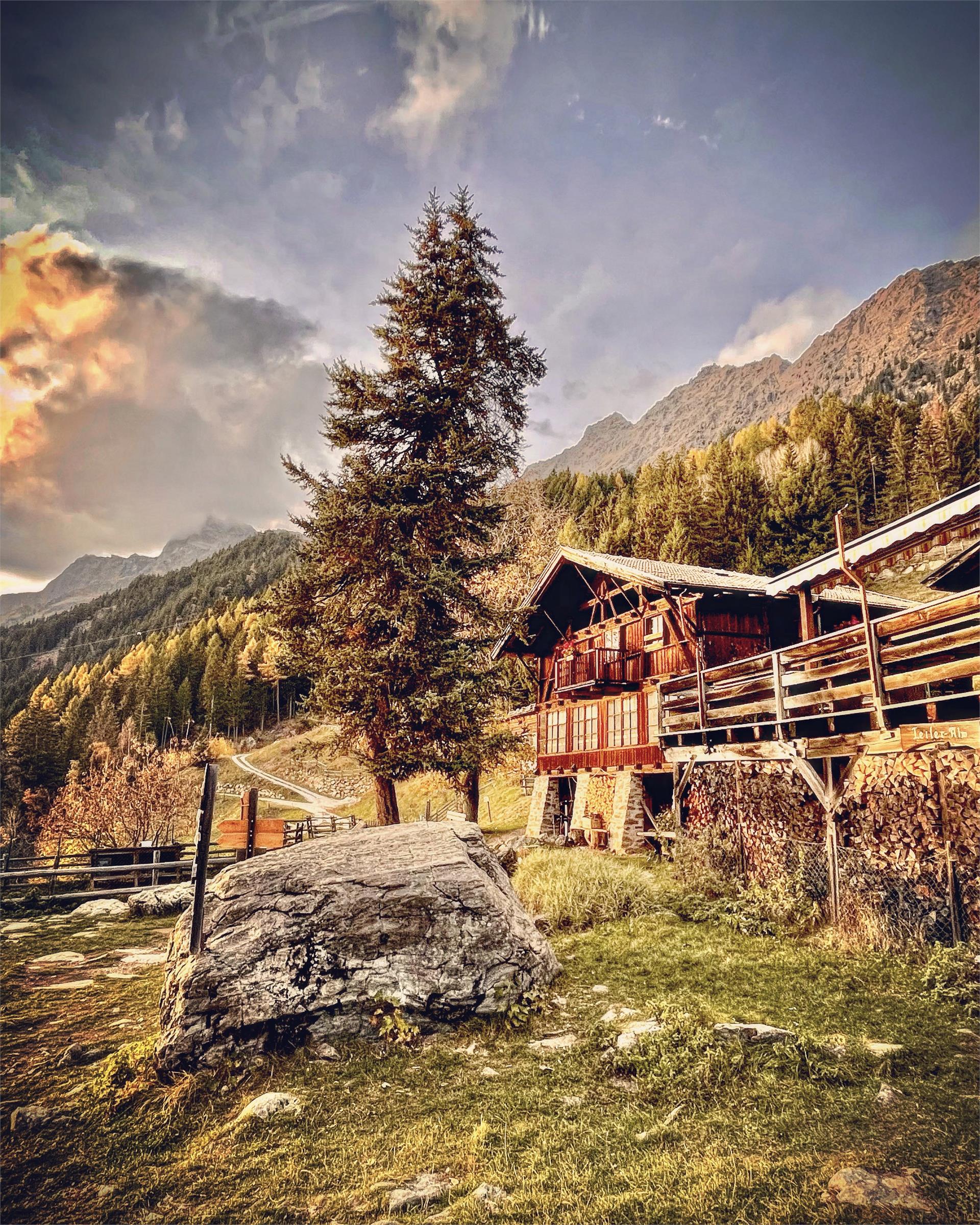 Malga Leiter - forcella Taufenscharte - Monte Muta - ristorante Mutkopf - ristorante Steinegg - Malga Leiter Lagundo 4 suedtirol.info