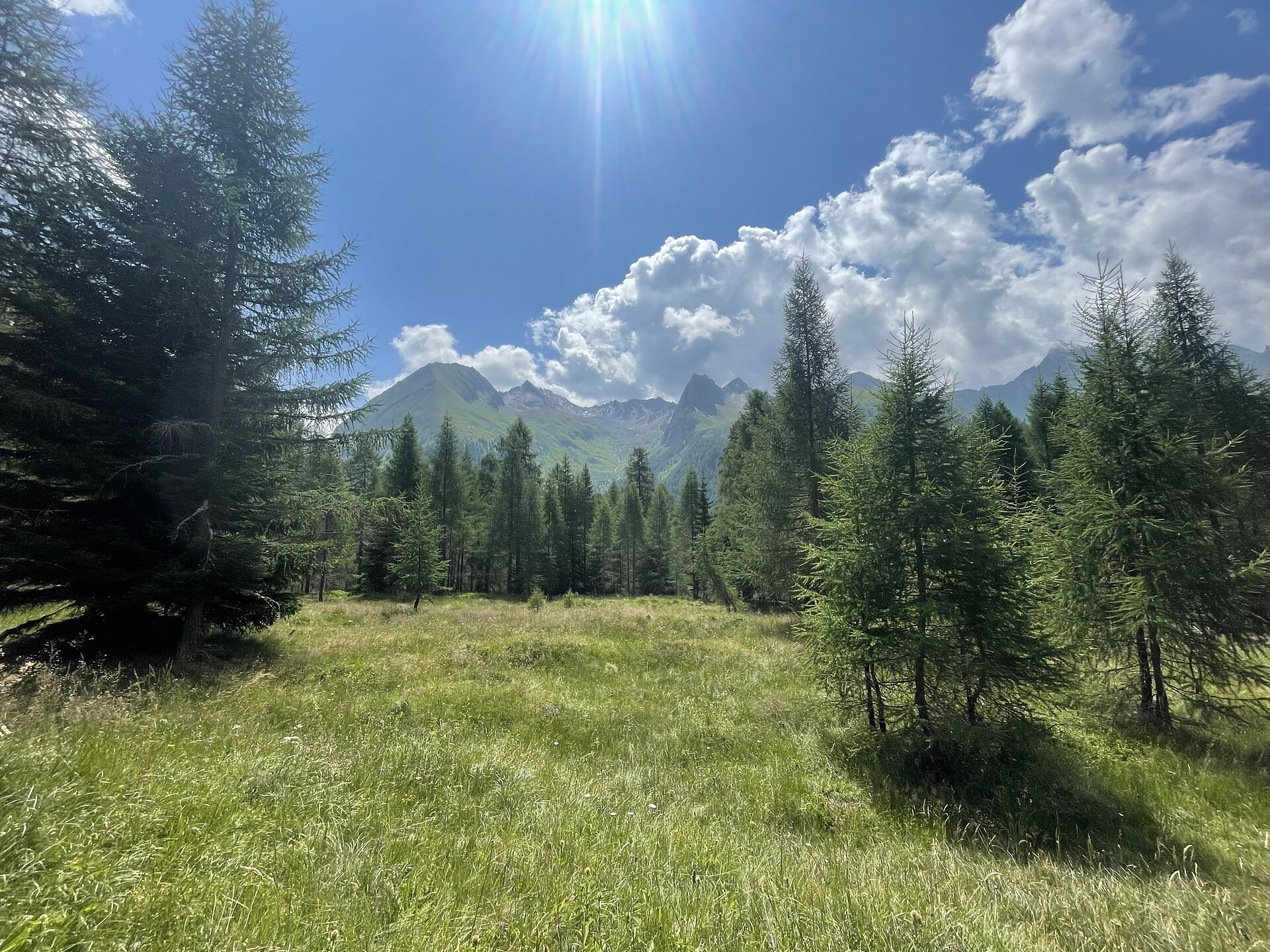 Larch Trail in Pfitsch Valley - Sterzing/Vipiteno and environs - #4 - suedtirol.info