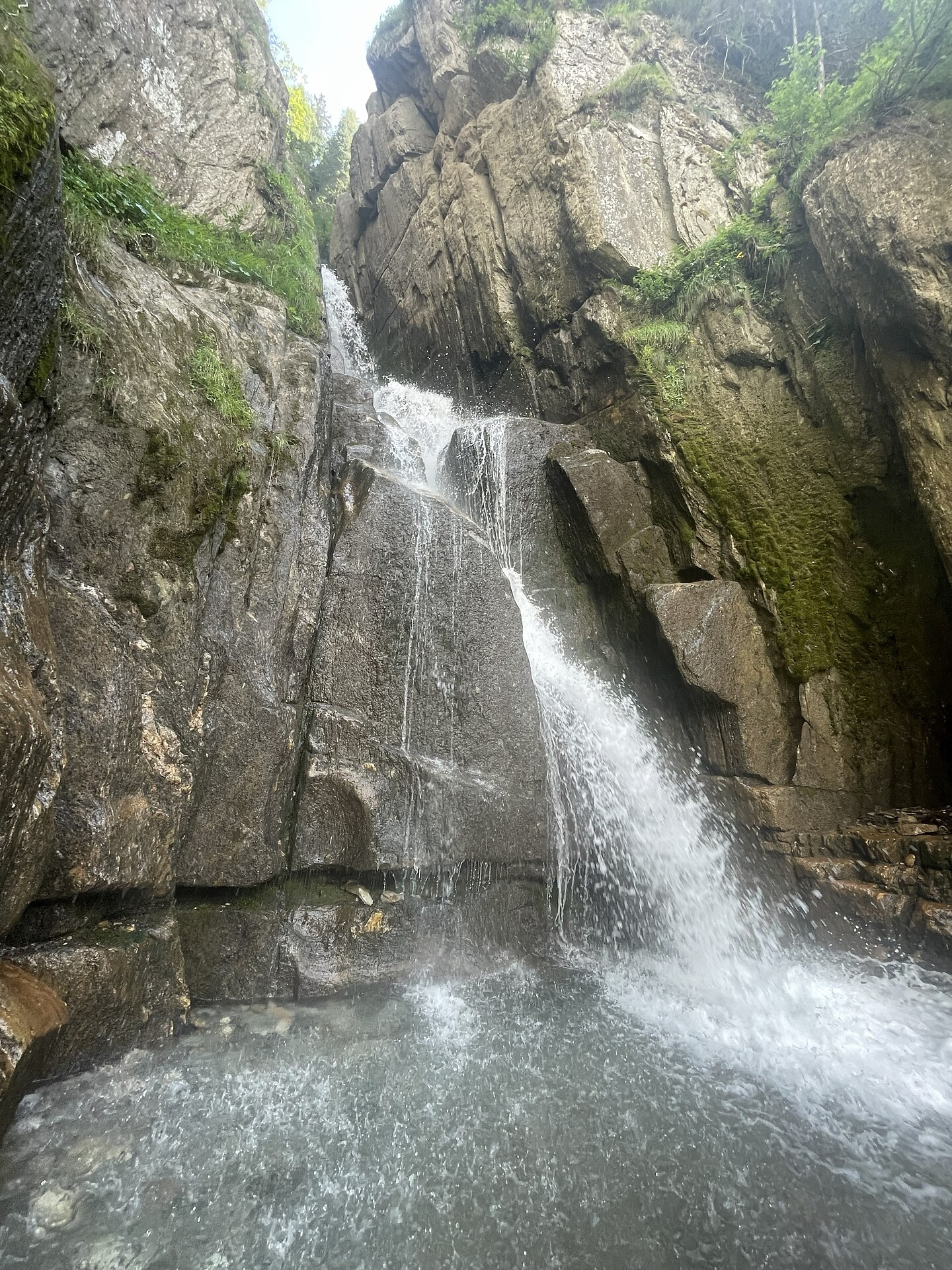 Larch Trail in Pfitsch Valley - Sterzing/Vipiteno and environs - #2 - suedtirol.info