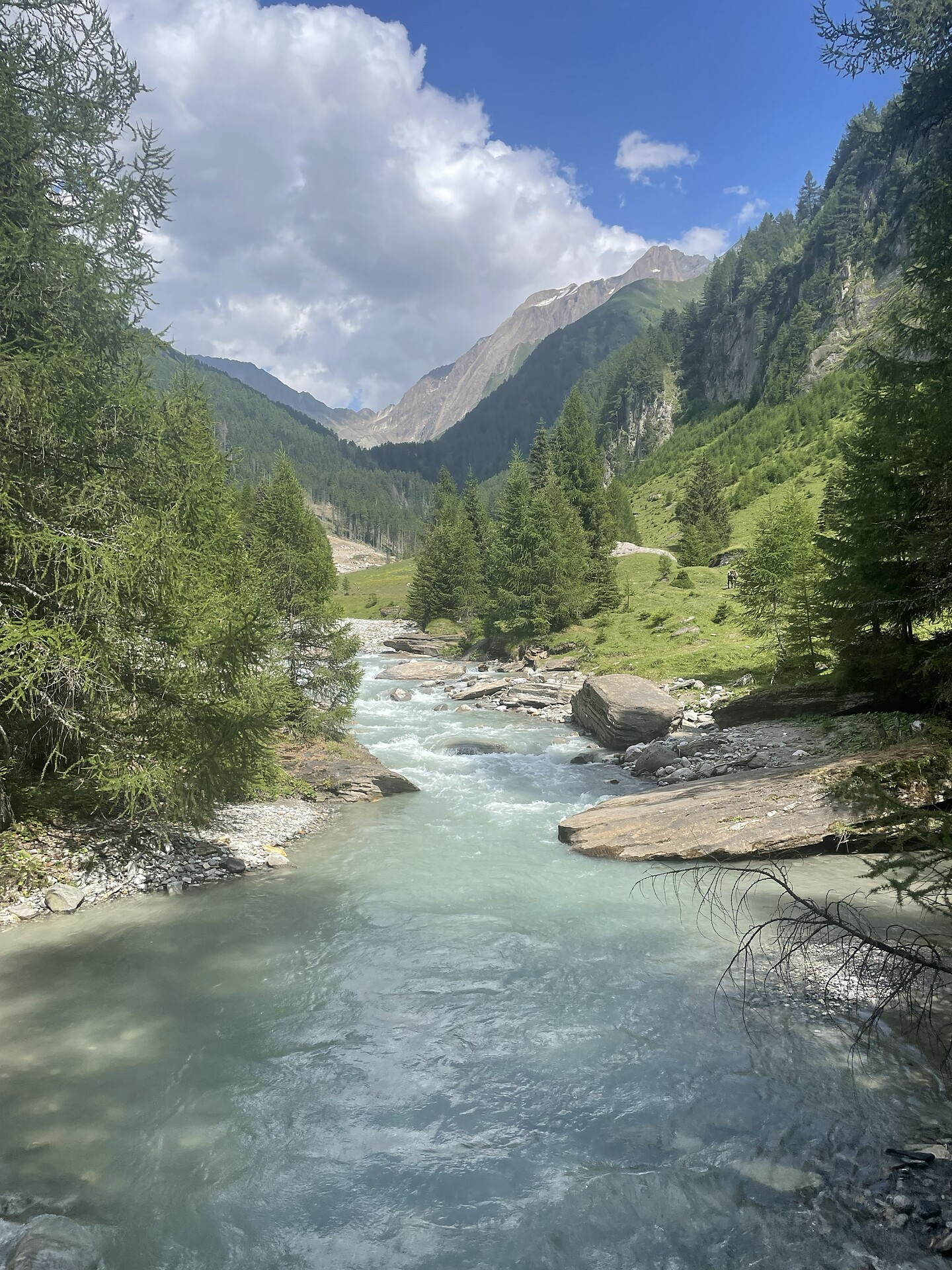 Larch Trail in Pfitsch Valley - Sterzing/Vipiteno and environs - #3 - suedtirol.info