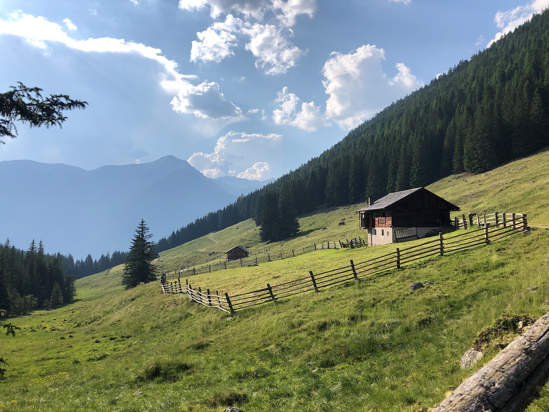 Langegg Alm Rasen-Antholz 1 suedtirol.info