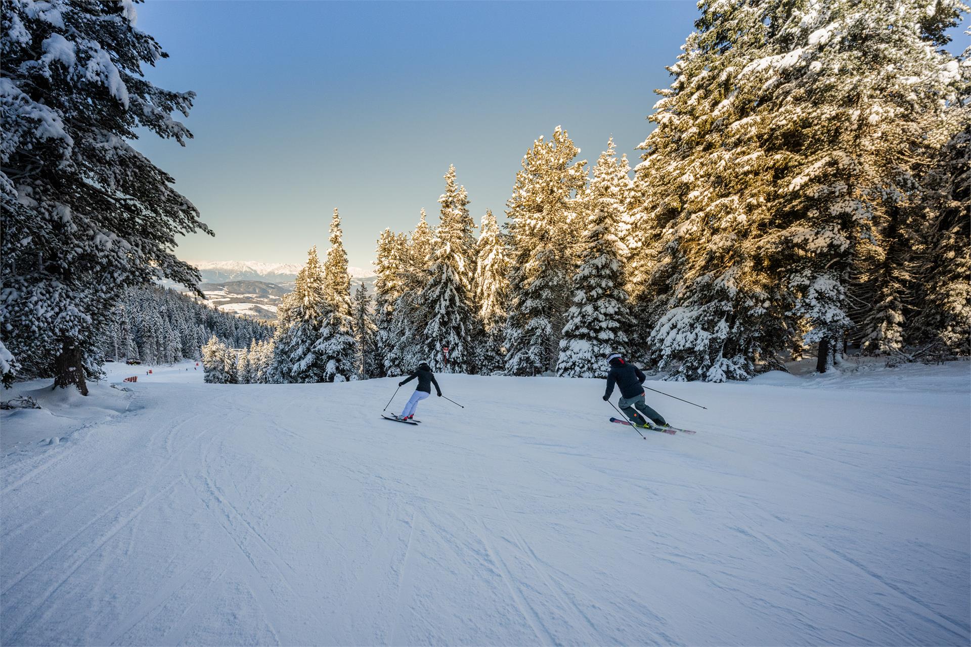 Latemar Sixpack  4 suedtirol.info