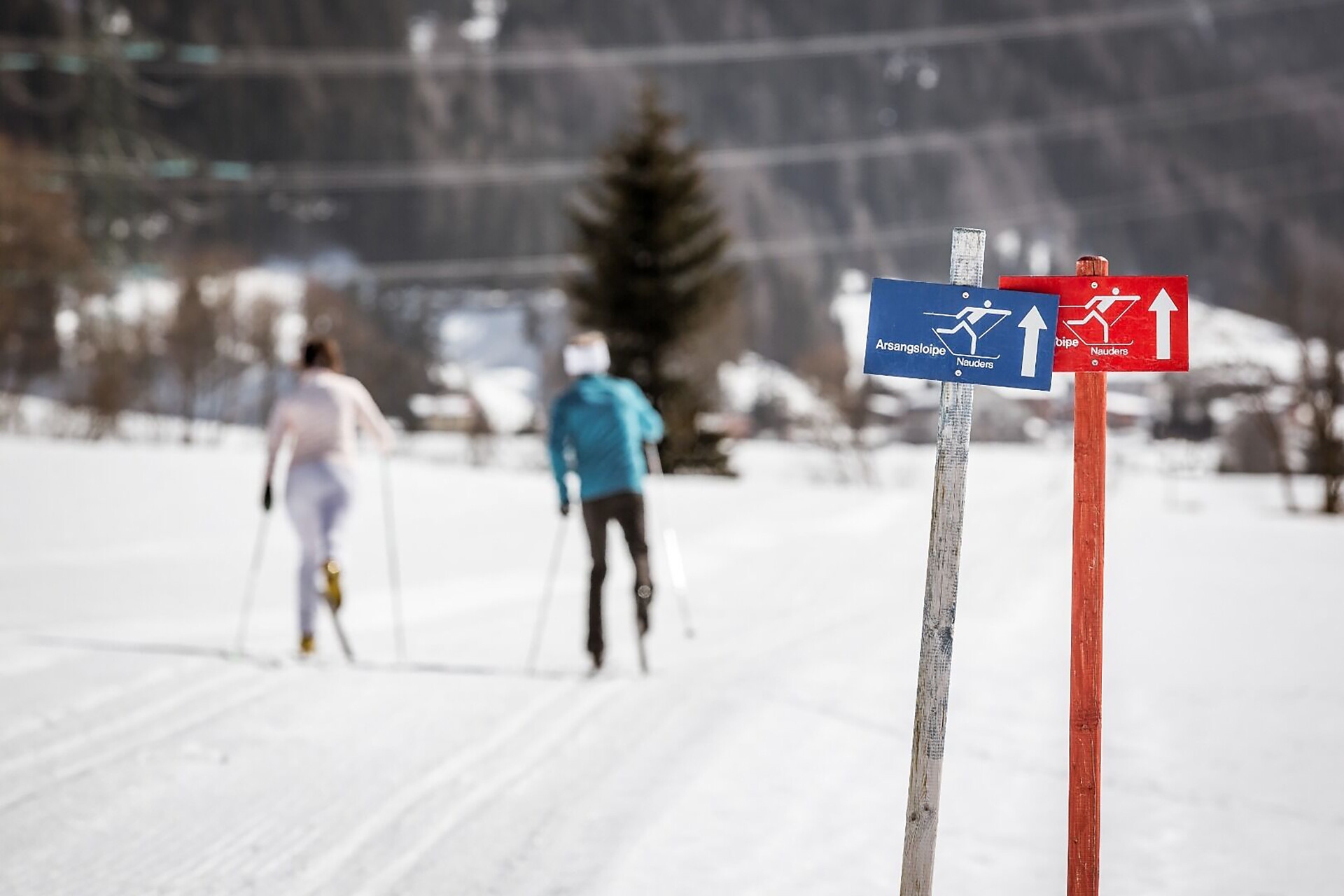 Norbershöhe cross-country skiing route -  - #1 - suedtirol.info
