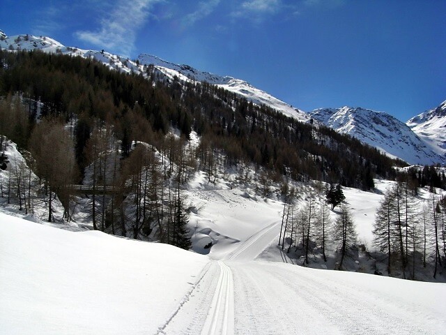 Pista di fondo in Valle di Lazins