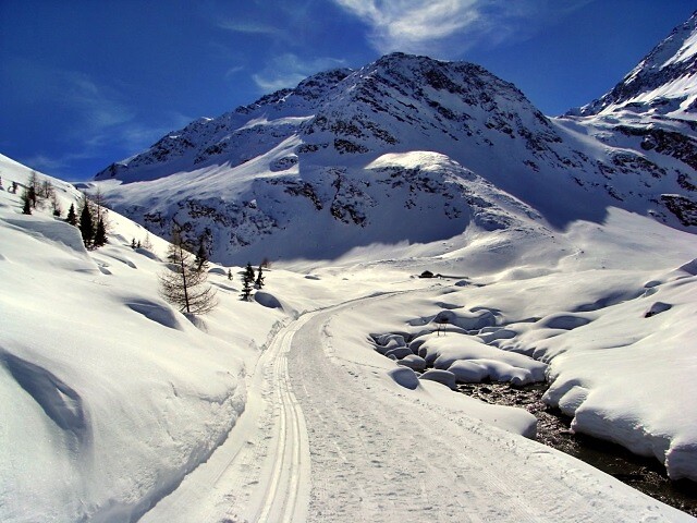 Pista di fondo in Valle di Lazins