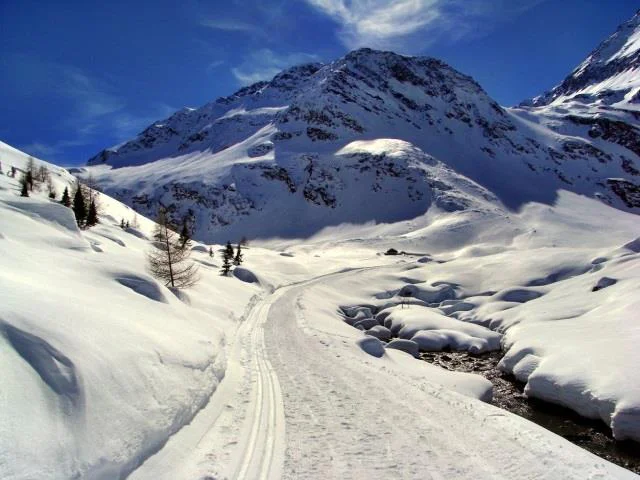 Lazinsertal Valley Cross-Country Skiing Trail Moos in Passeier/Moso in Passiria 1 suedtirol.info