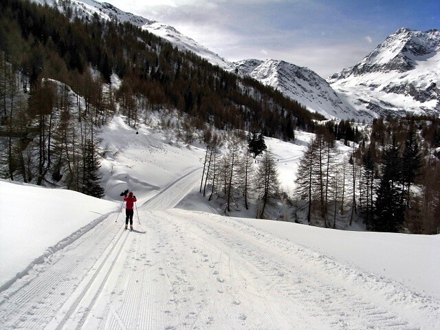 Pista di fondo in Valle di Lazins