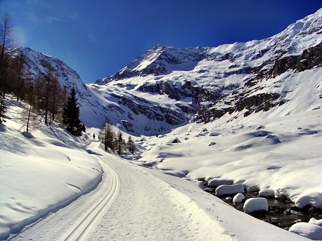 Pista di fondo in Valle di Lazins