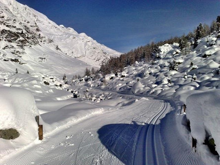 Lazinsertal Valley Cross-Country Skiing Trail Moos in Passeier/Moso in Passiria 6 suedtirol.info