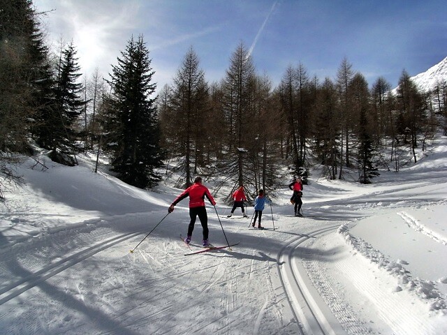 Pista di fondo in Valle di Lazins