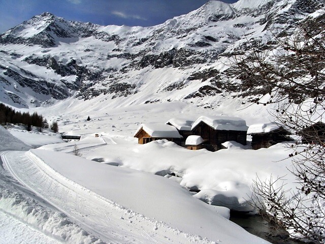 Pista di fondo in Valle di Lazins